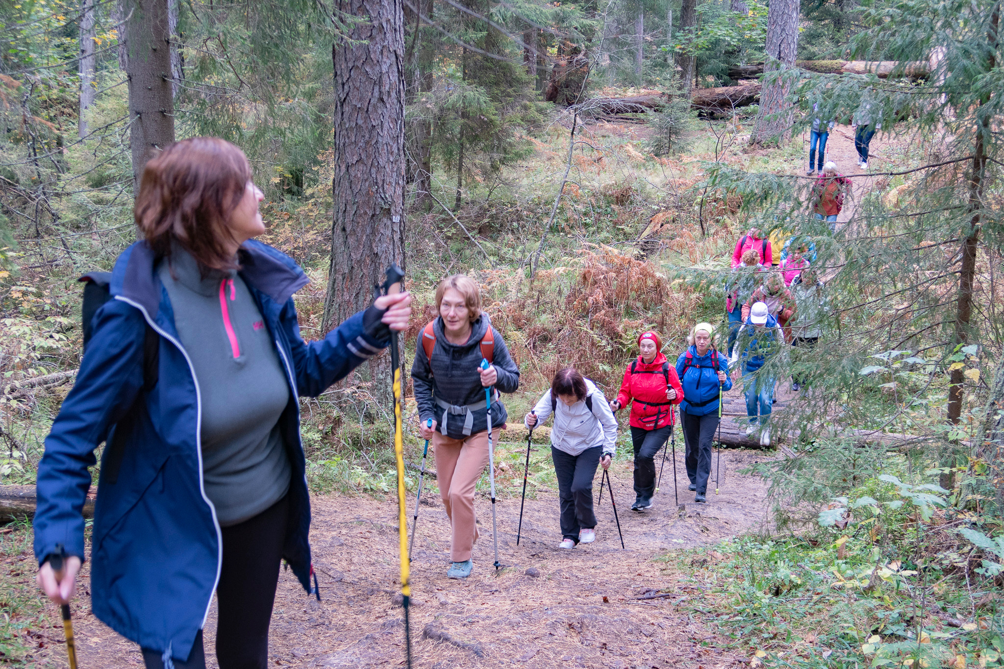 Линдуловская Роща. Фото из походов и путешествий клуба скандинавской ходьбы Пойдем Ходить