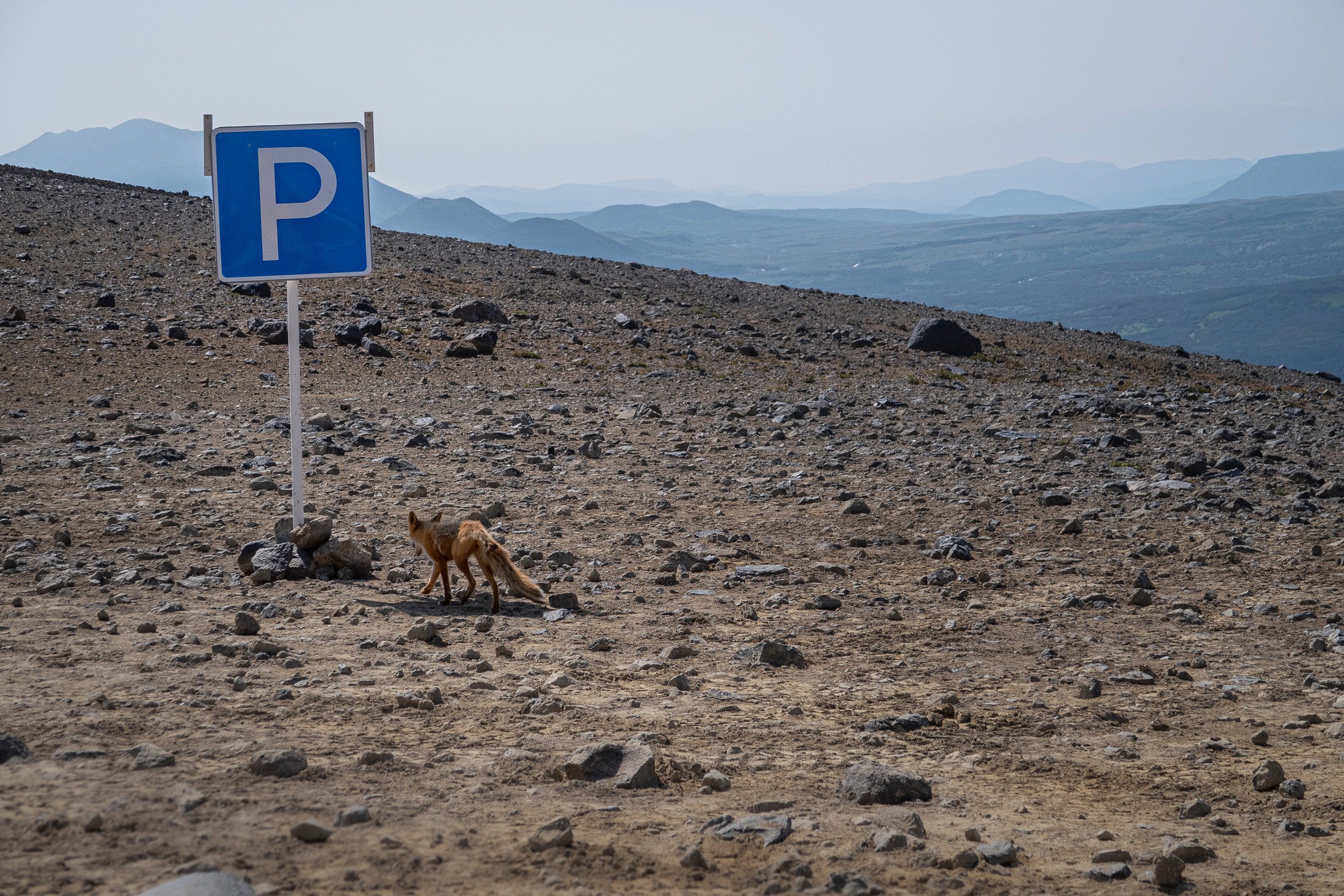 Камчатка. Фото из походов и путешествий клуба скандинавской ходьбы Пойдем Ходить