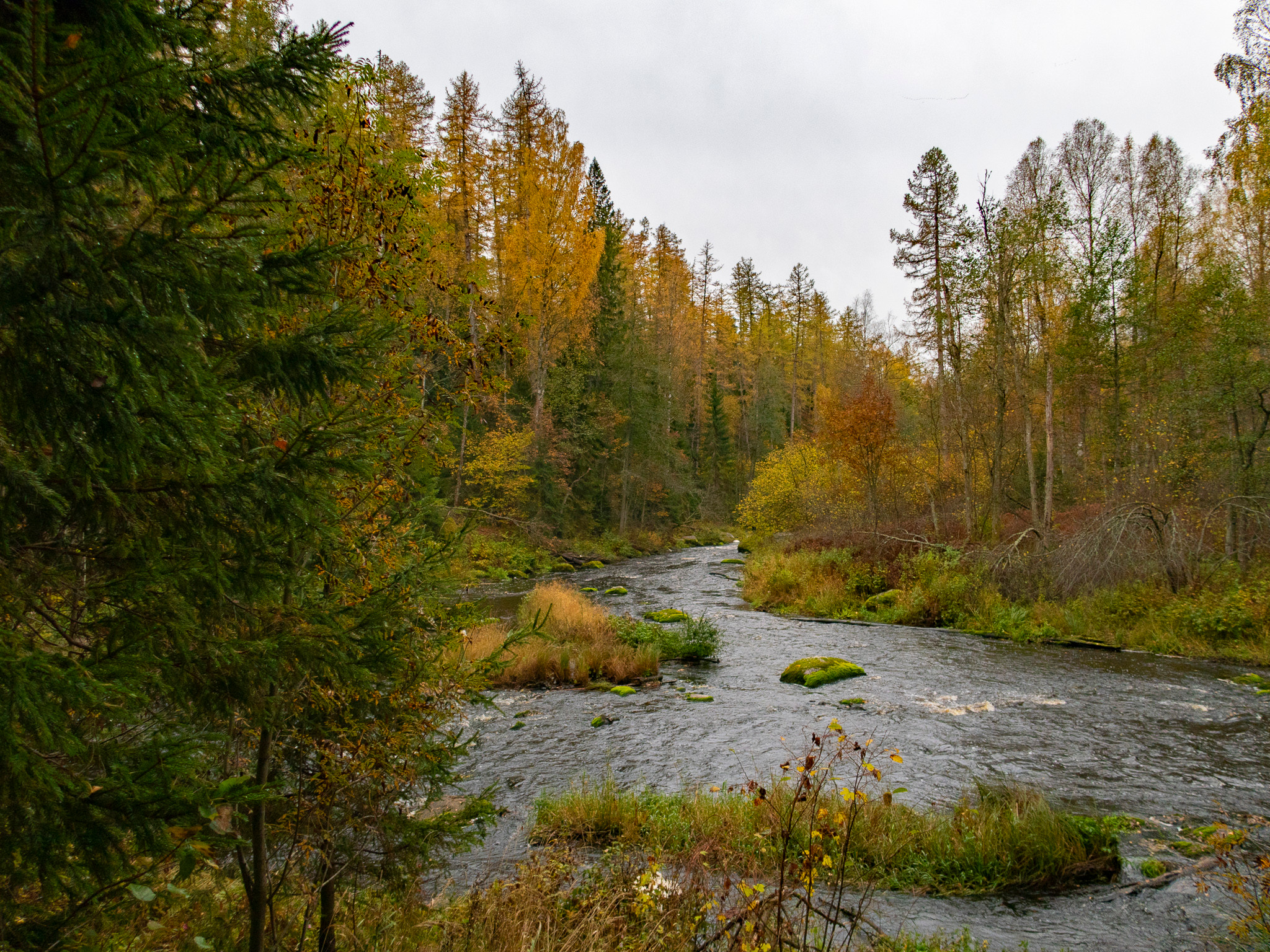 Линдуловская Роща. Фото из походов и путешествий клуба скандинавской ходьбы Пойдем Ходить