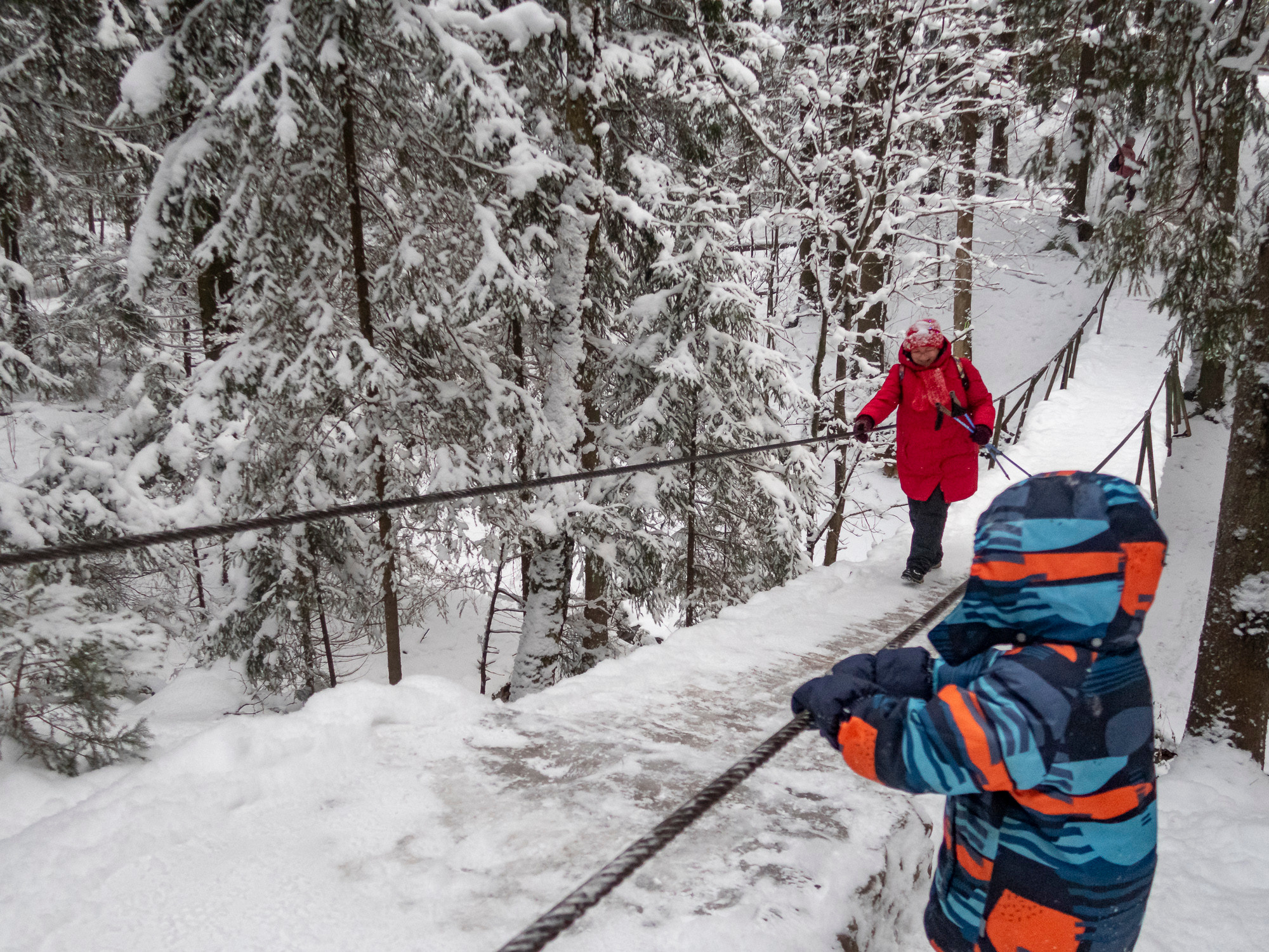 В Токсово к зубрам. Фото из походов и путешествий клуба скандинавской ходьбы Пойдем Ходить