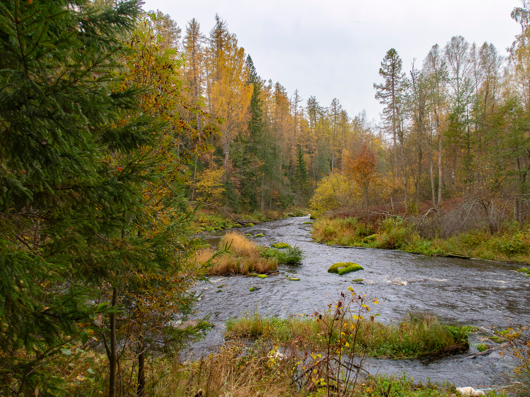 Линдуловская Роща. Фото из походов и путешествий клуба скандинавской ходьбы Пойдем Ходить