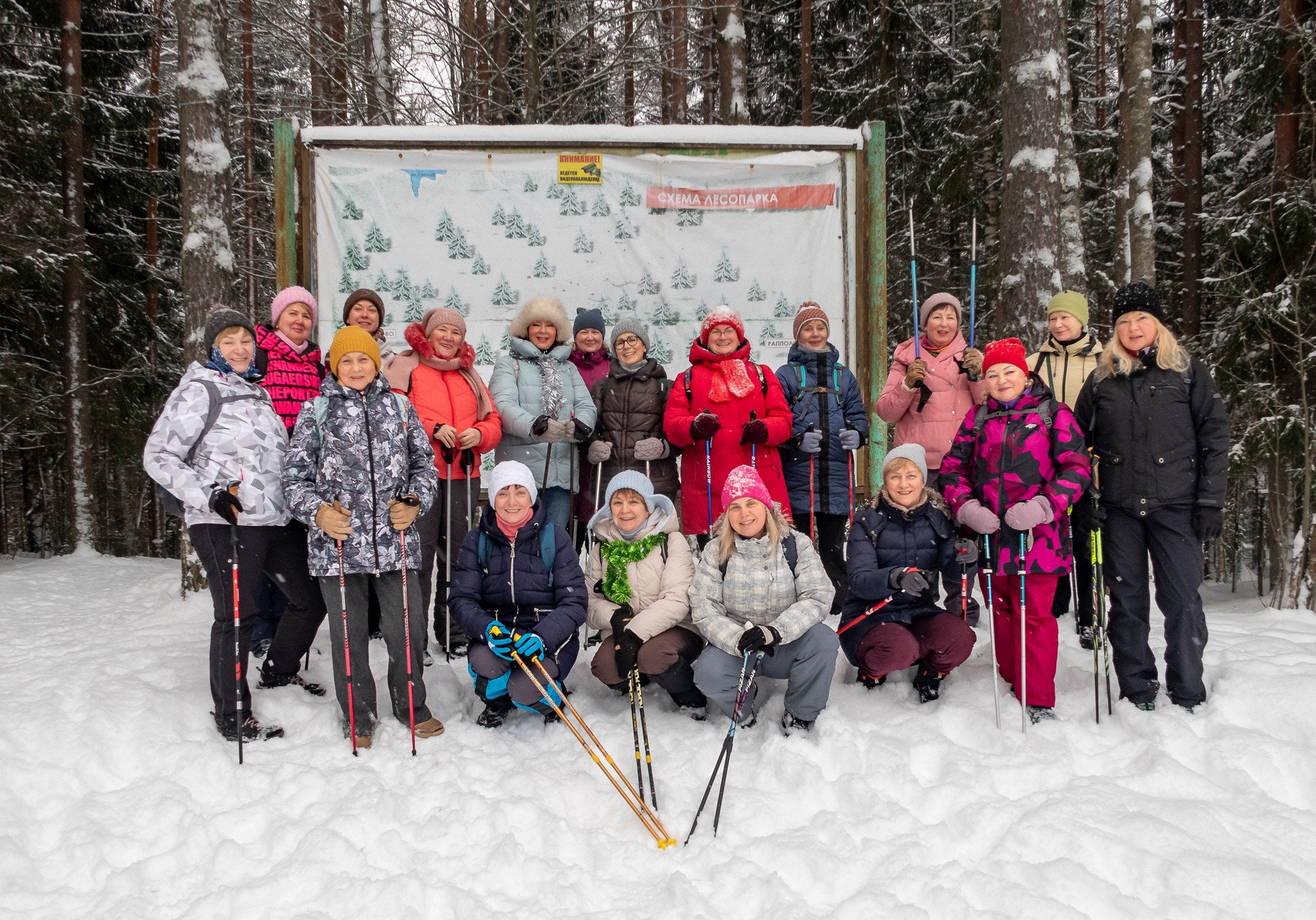 В Токсово к зубрам. Фото из походов и путешествий клуба скандинавской ходьбы Пойдем Ходить