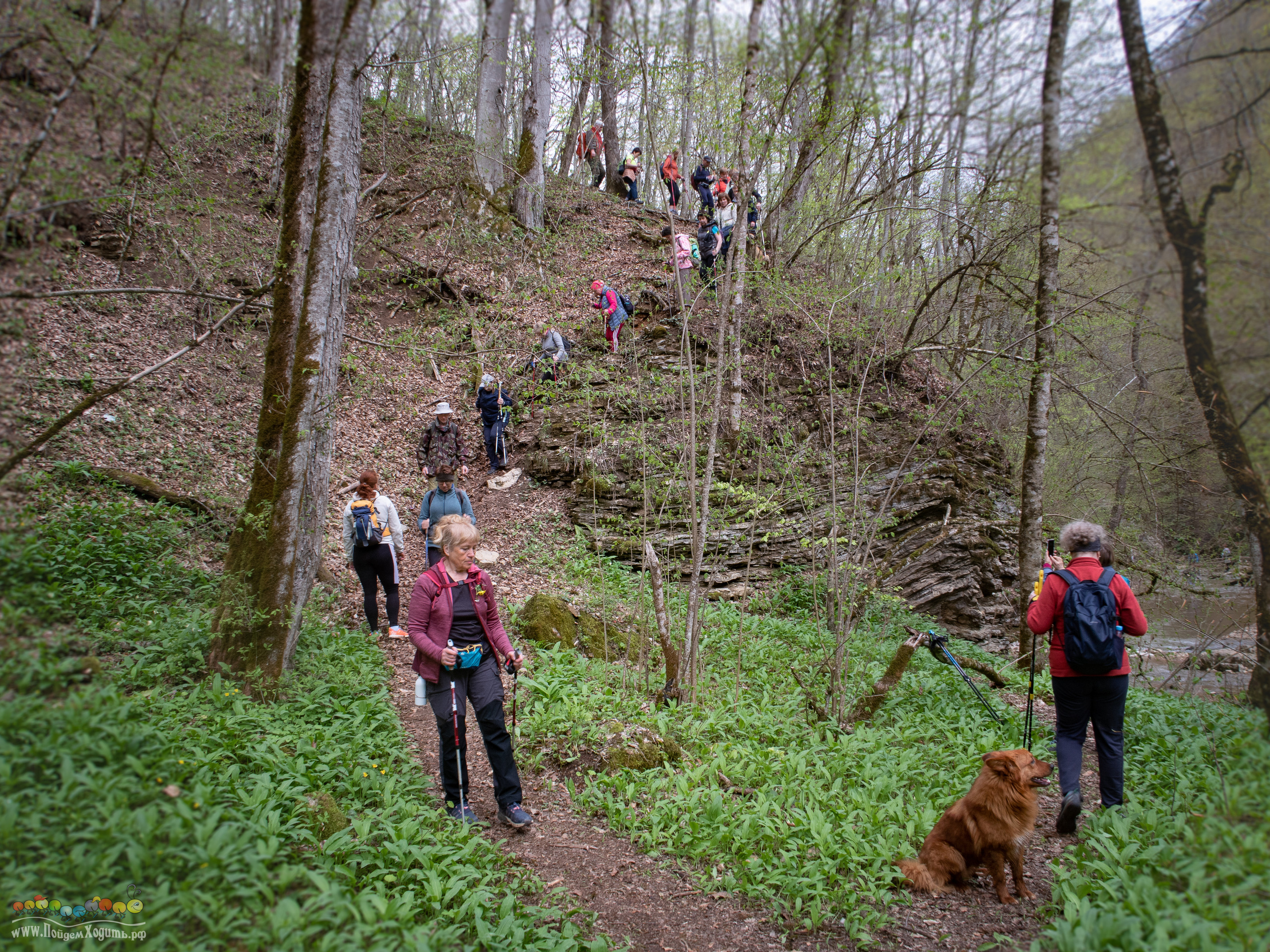 Адыгея — страна водопадов. Фото из походов и путешествий клуба скандинавской ходьбы Пойдем Ходить