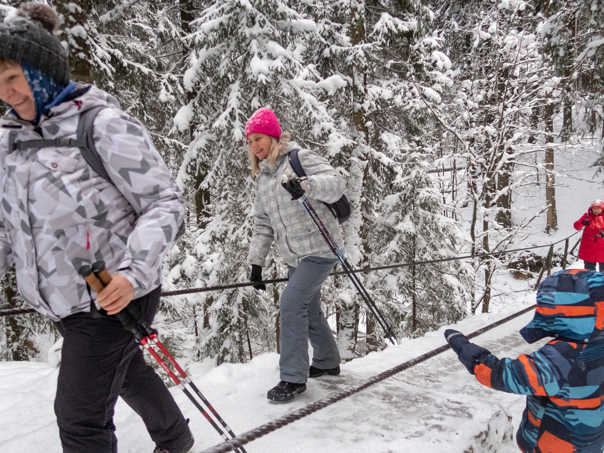 В Токсово к зубрам. Фото из походов и путешествий клуба скандинавской ходьбы Пойдем Ходить