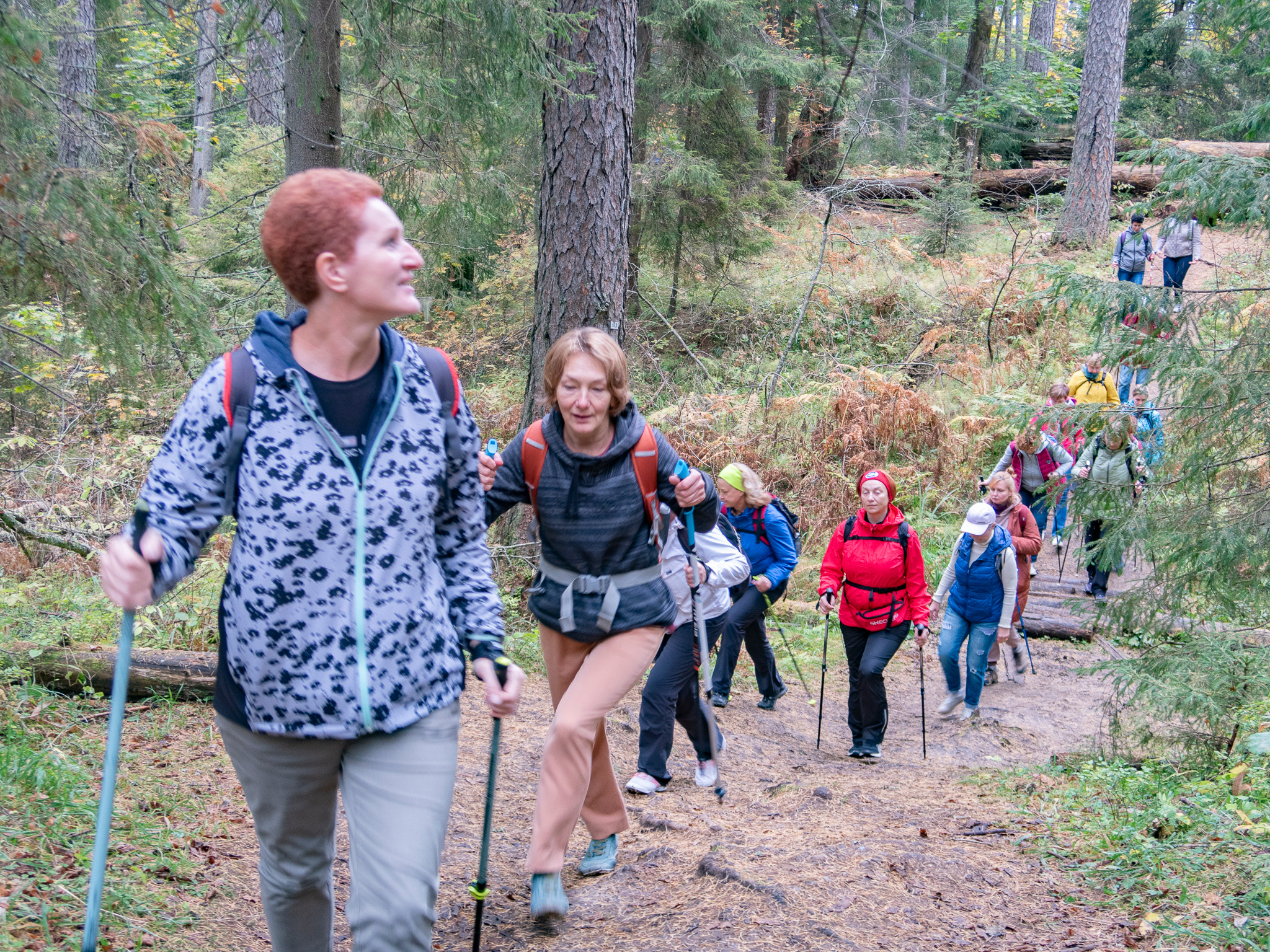 Линдуловская Роща. Фото из походов и путешествий клуба скандинавской ходьбы Пойдем Ходить
