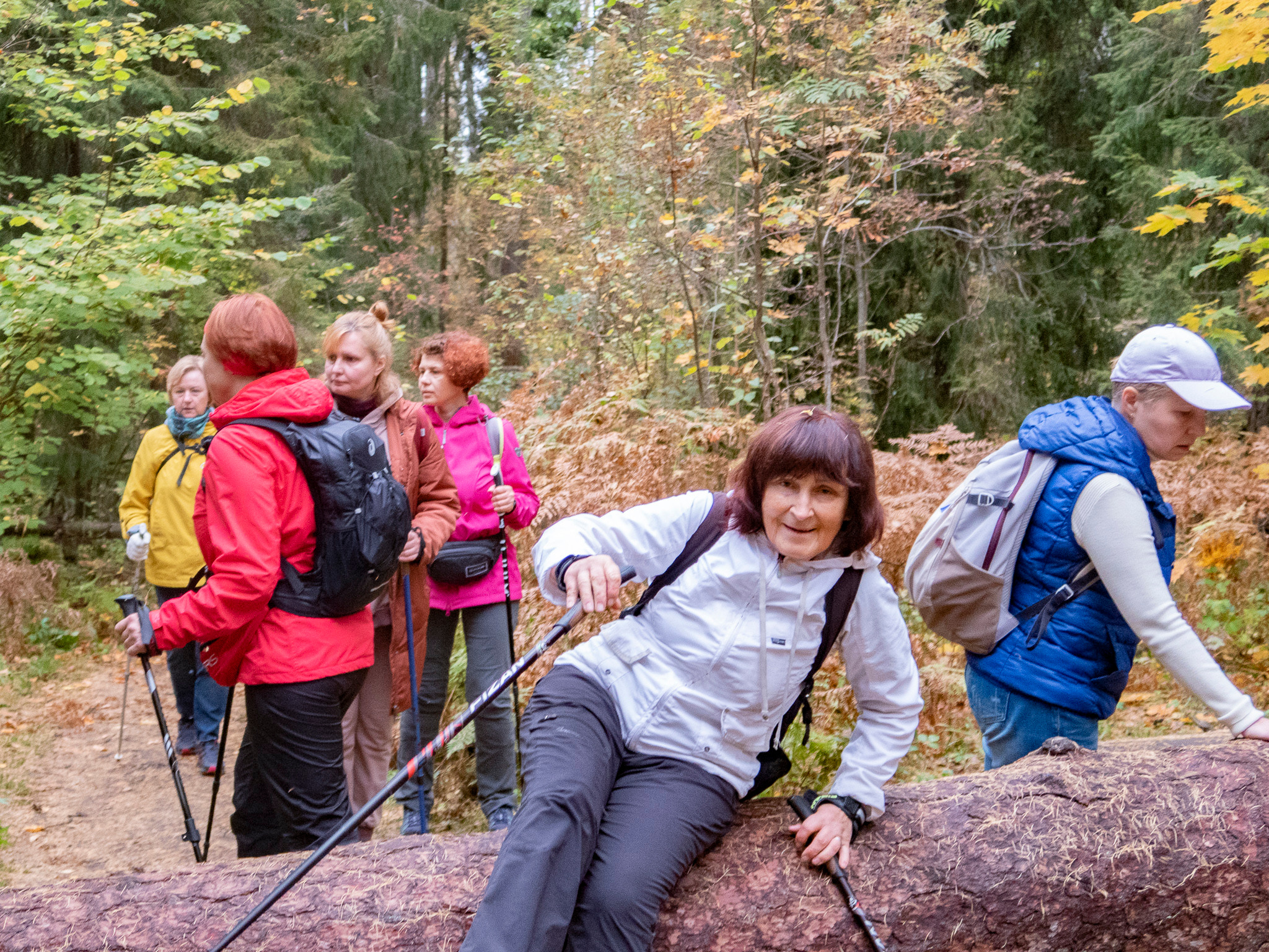 Линдуловская Роща. Фото из походов и путешествий клуба скандинавской ходьбы Пойдем Ходить