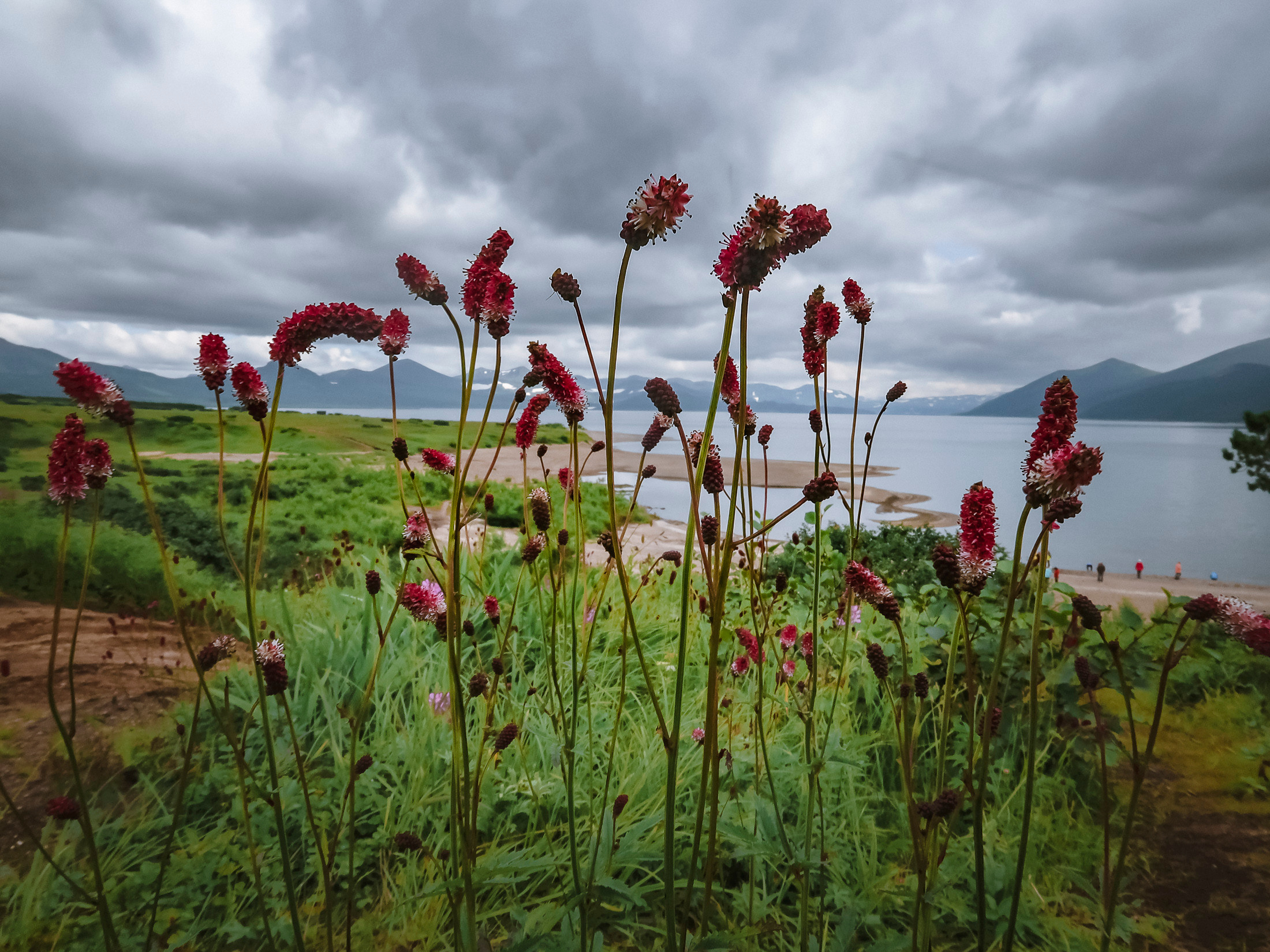 Камчатка. Фото из походов и путешествий клуба скандинавской ходьбы Пойдем Ходить