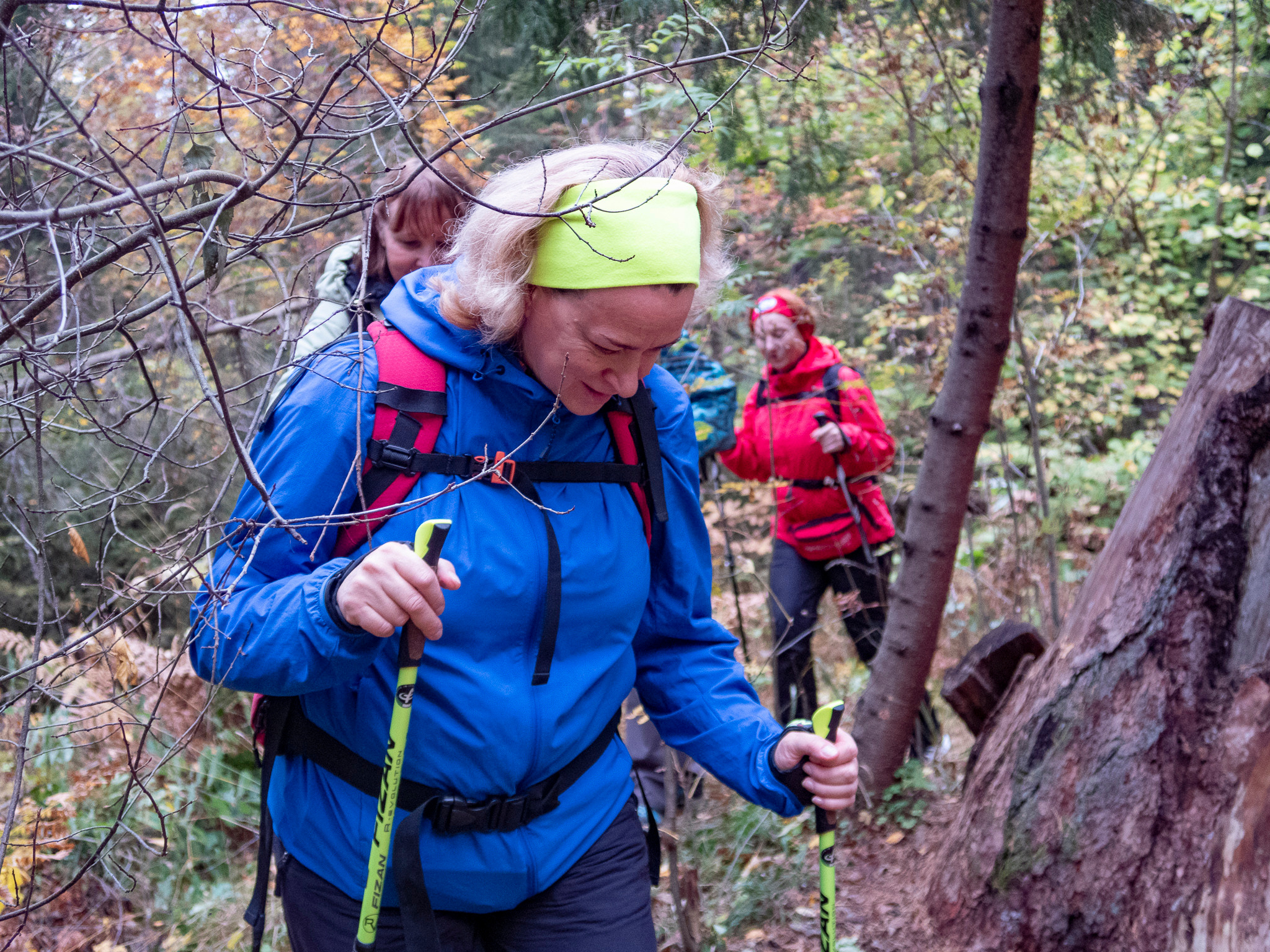 Линдуловская Роща. Фото из походов и путешествий клуба скандинавской ходьбы Пойдем Ходить