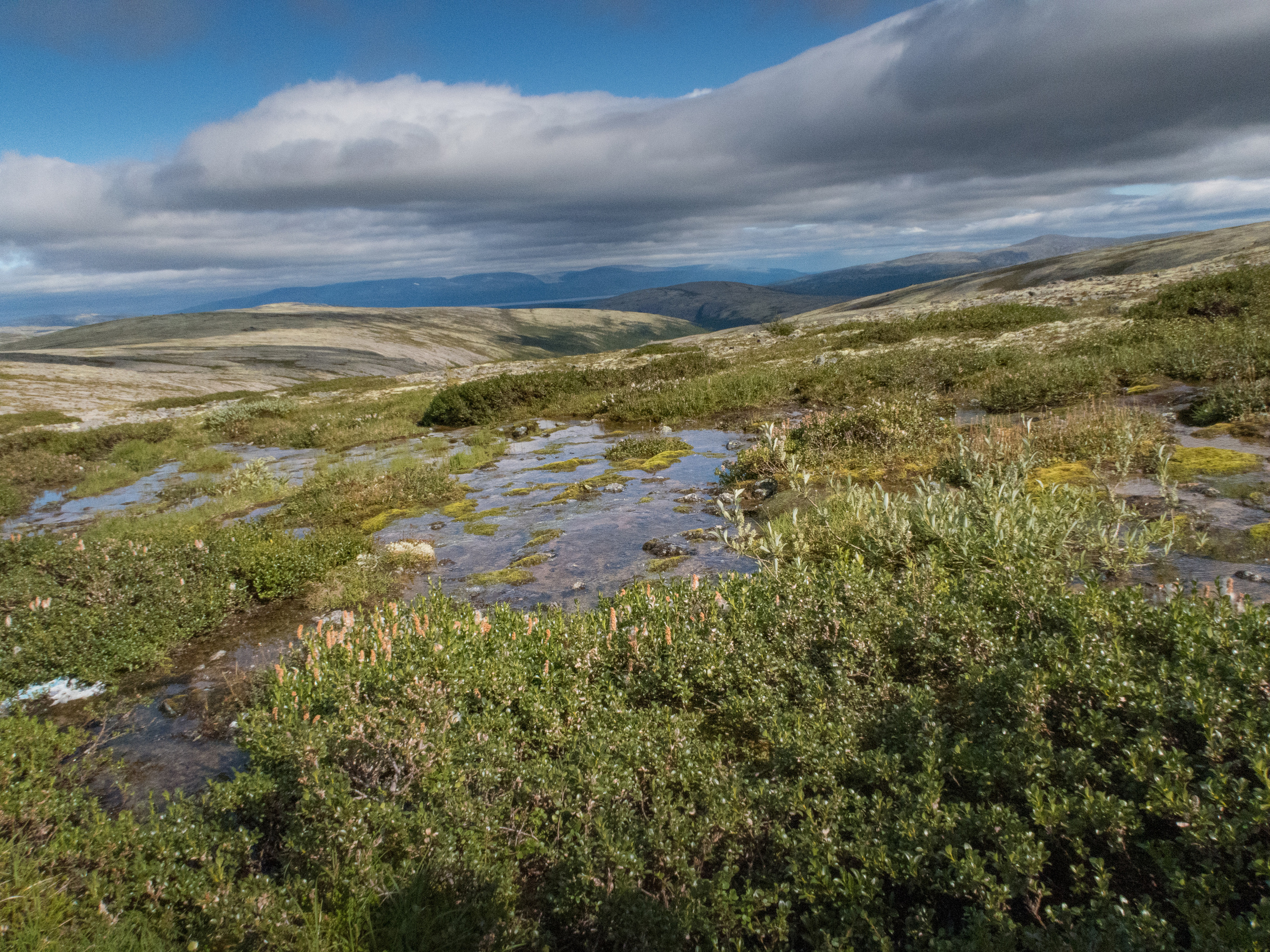 Кольский. Фото из походов и путешествий клуба скандинавской ходьбы Пойдем Ходить