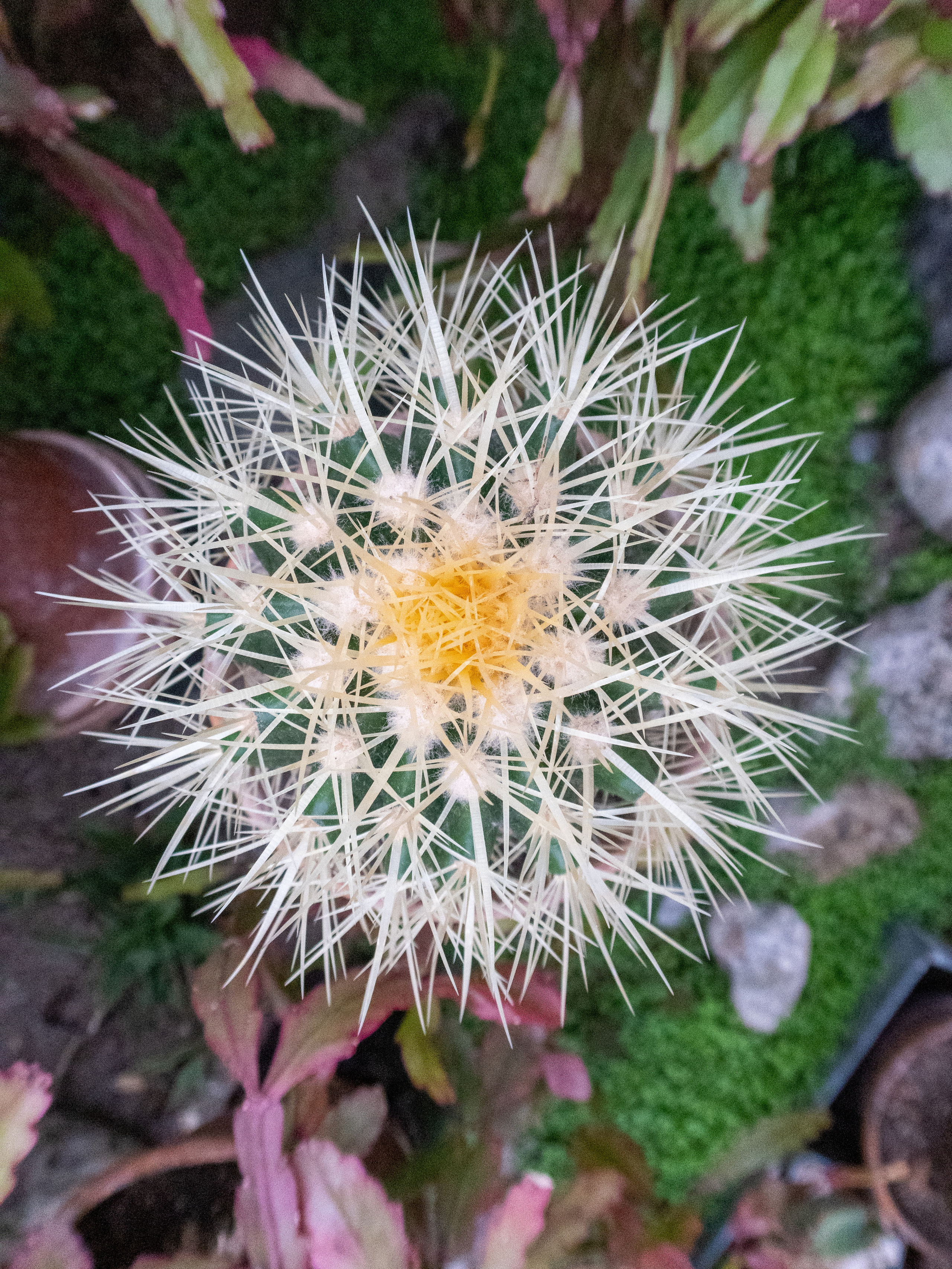 Кольский. Фото из походов и путешествий клуба скандинавской ходьбы Пойдем Ходить