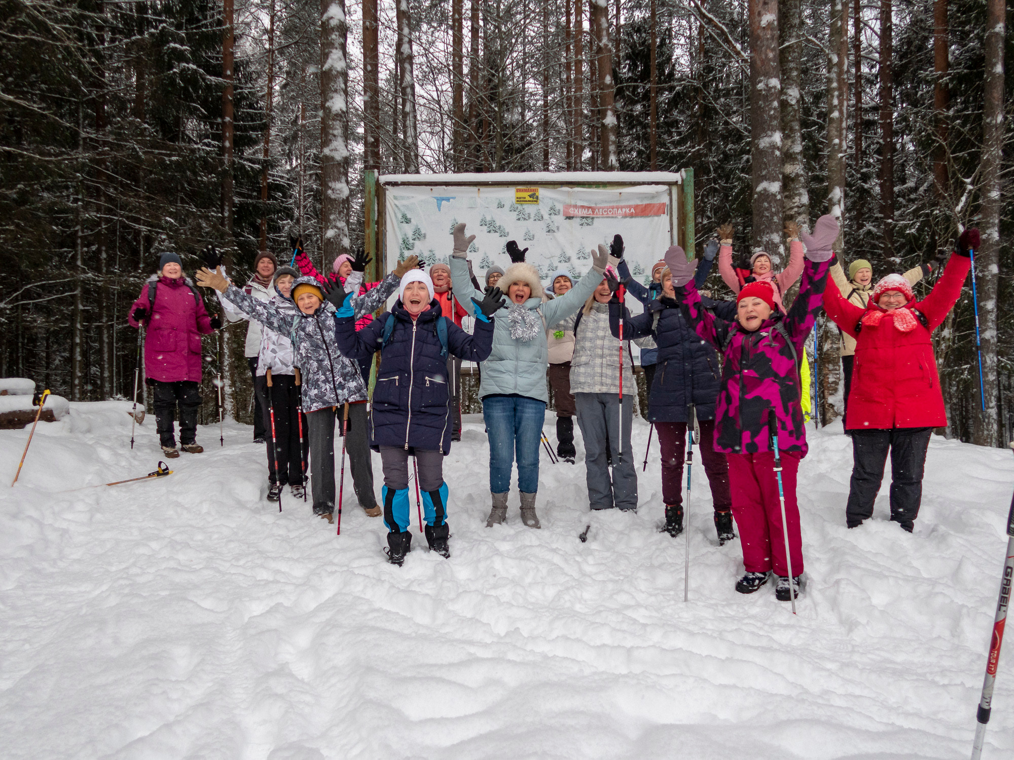 В Токсово к зубрам. Фото из походов и путешествий клуба скандинавской ходьбы Пойдем Ходить
