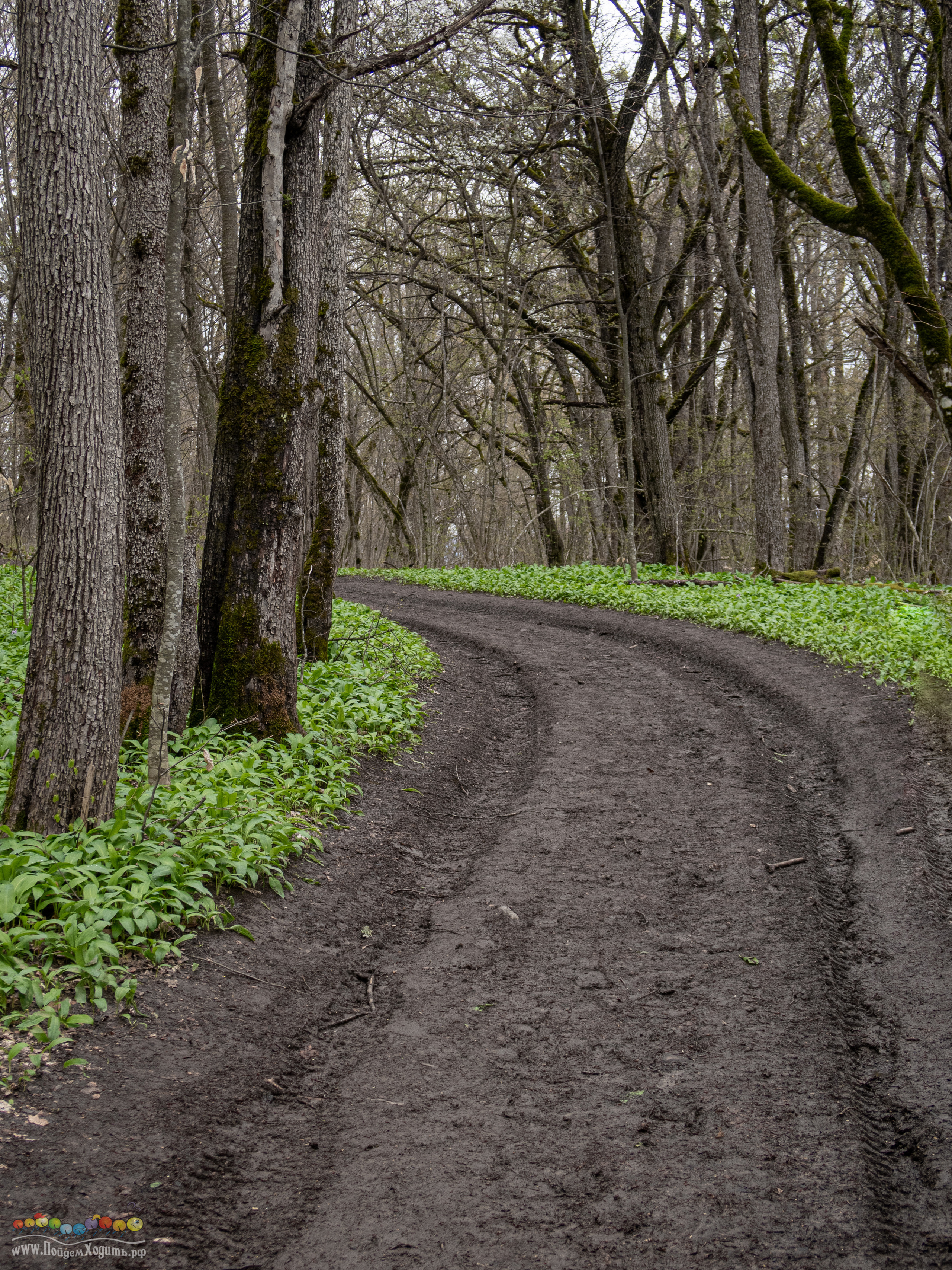 Адыгея — страна водопадов. Фото из походов и путешествий клуба скандинавской ходьбы Пойдем Ходить