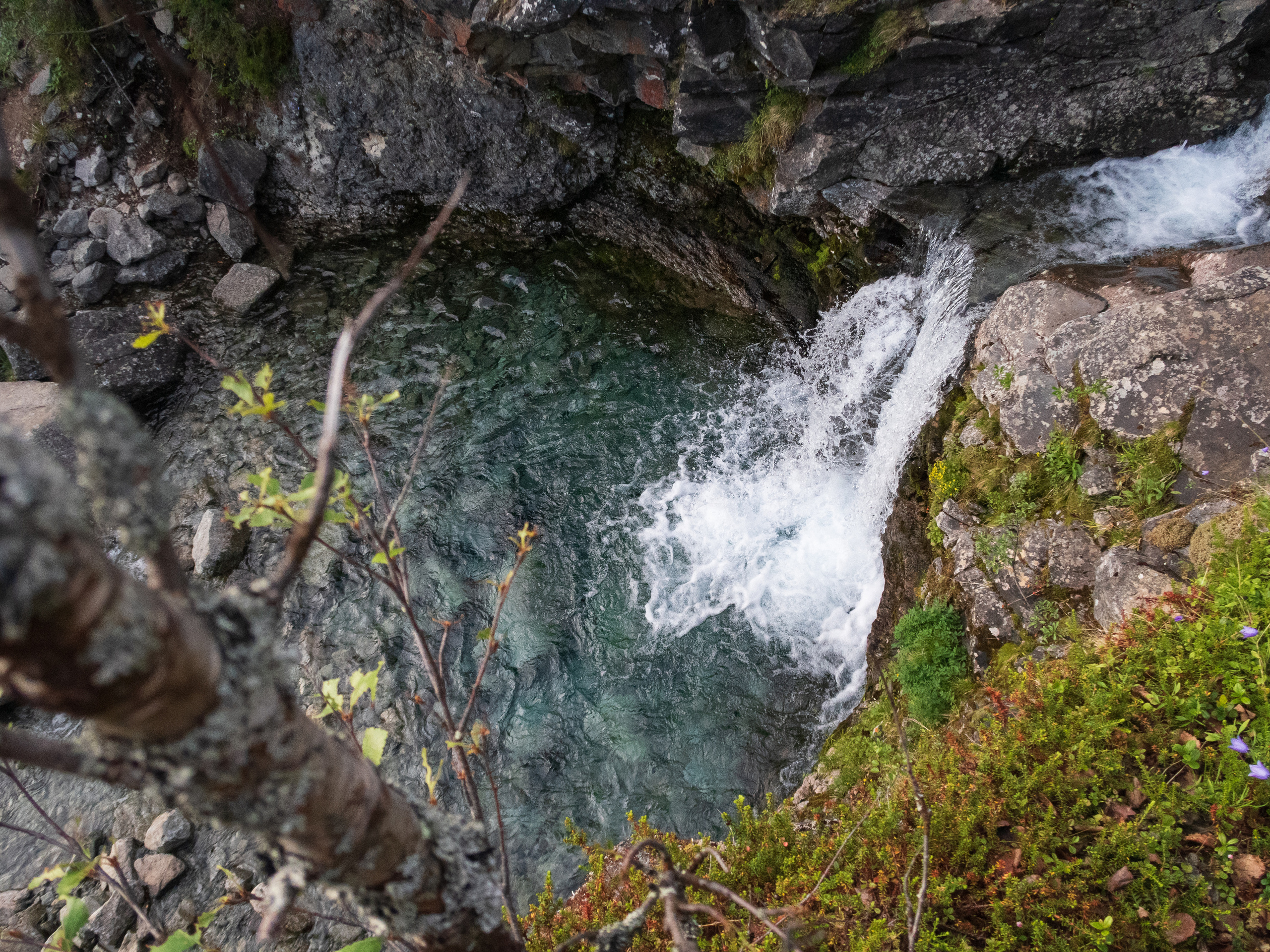 Кольский. Фото из походов и путешествий клуба скандинавской ходьбы Пойдем Ходить