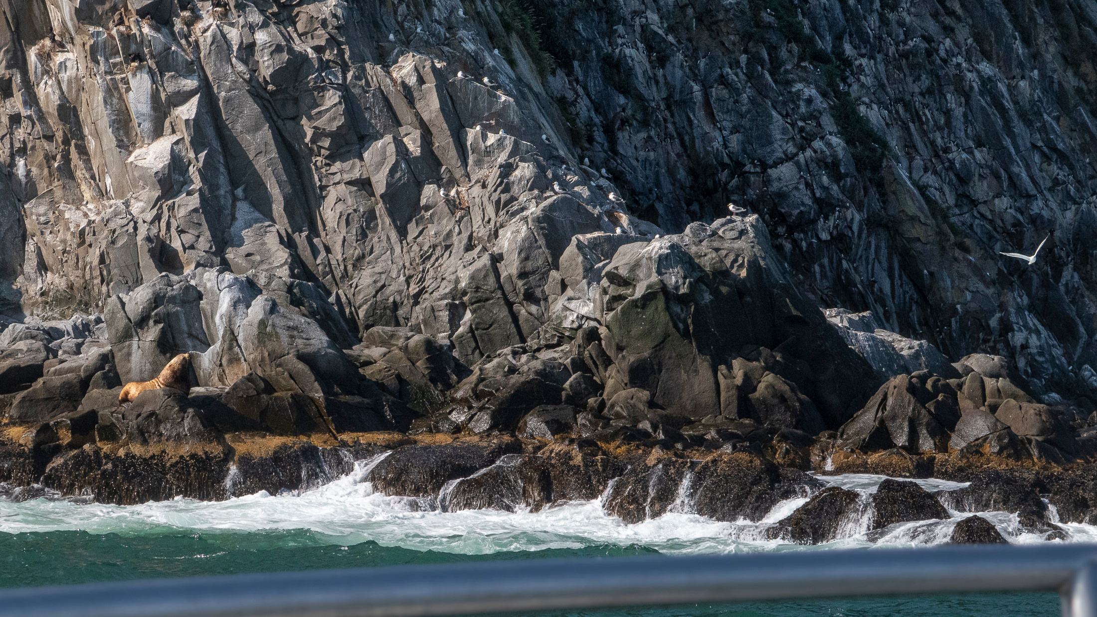 Камчатка. Фото из походов и путешествий клуба скандинавской ходьбы Пойдем Ходить