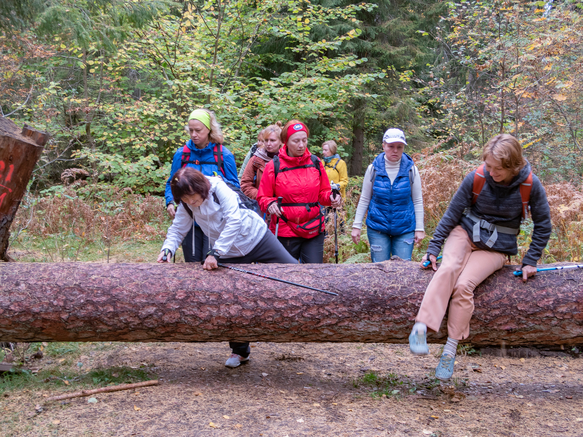 Линдуловская Роща. Фото из походов и путешествий клуба скандинавской ходьбы Пойдем Ходить