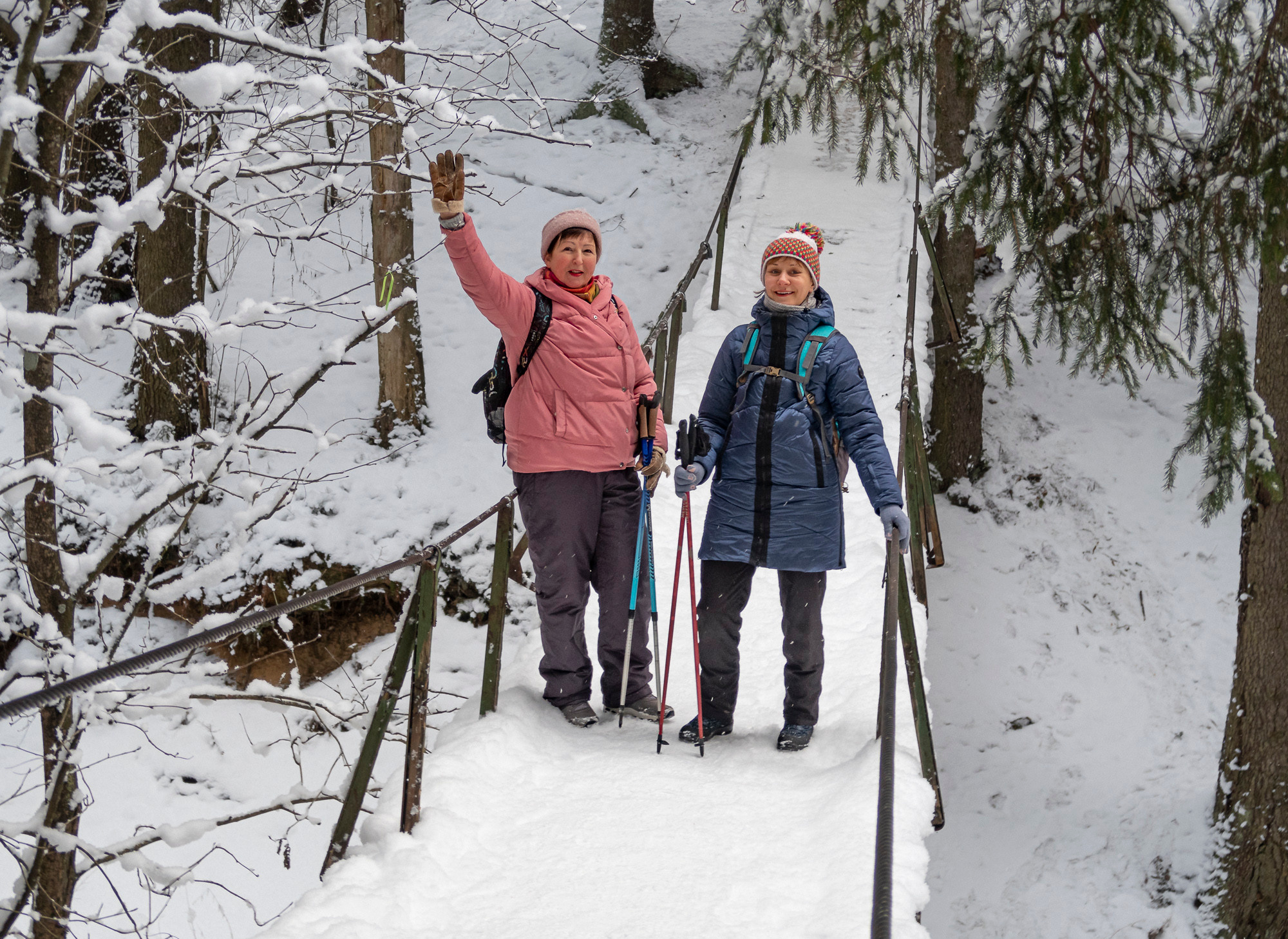 В Токсово к зубрам. Фото из походов и путешествий клуба скандинавской ходьбы Пойдем Ходить