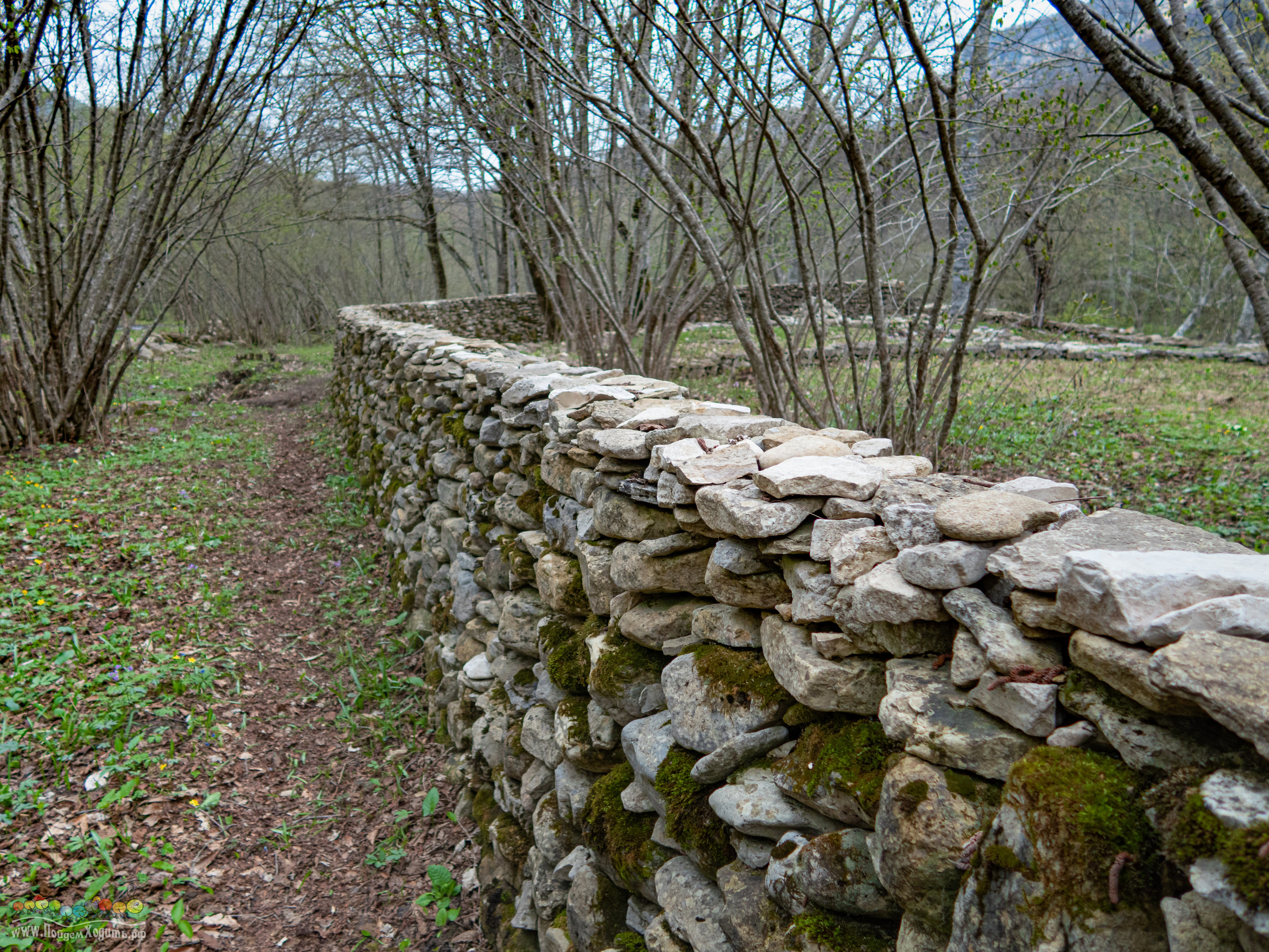Адыгея — страна водопадов. Фото из походов и путешествий клуба скандинавской ходьбы Пойдем Ходить