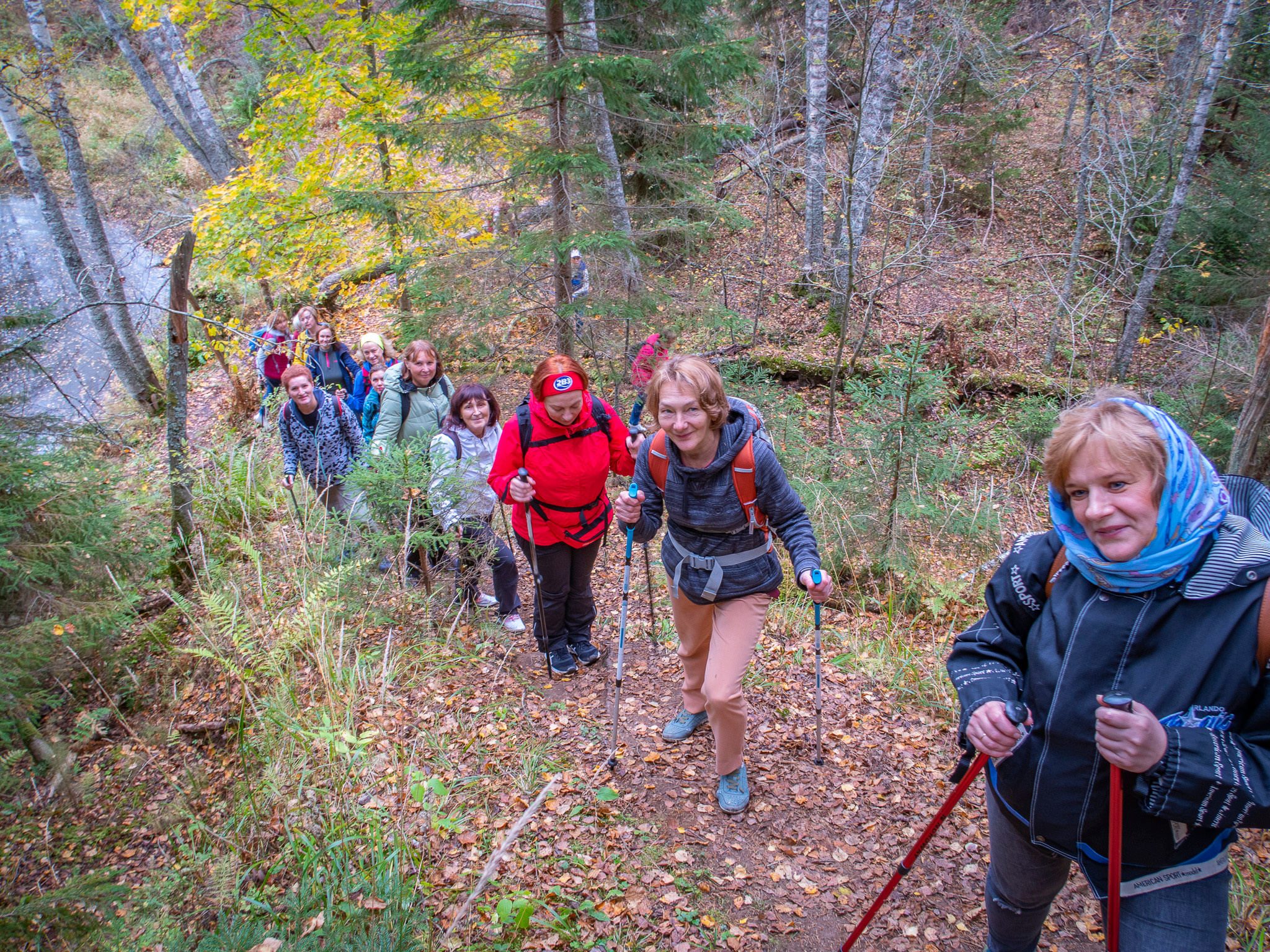 Линдуловская Роща. Фото из походов и путешествий клуба скандинавской ходьбы Пойдем Ходить