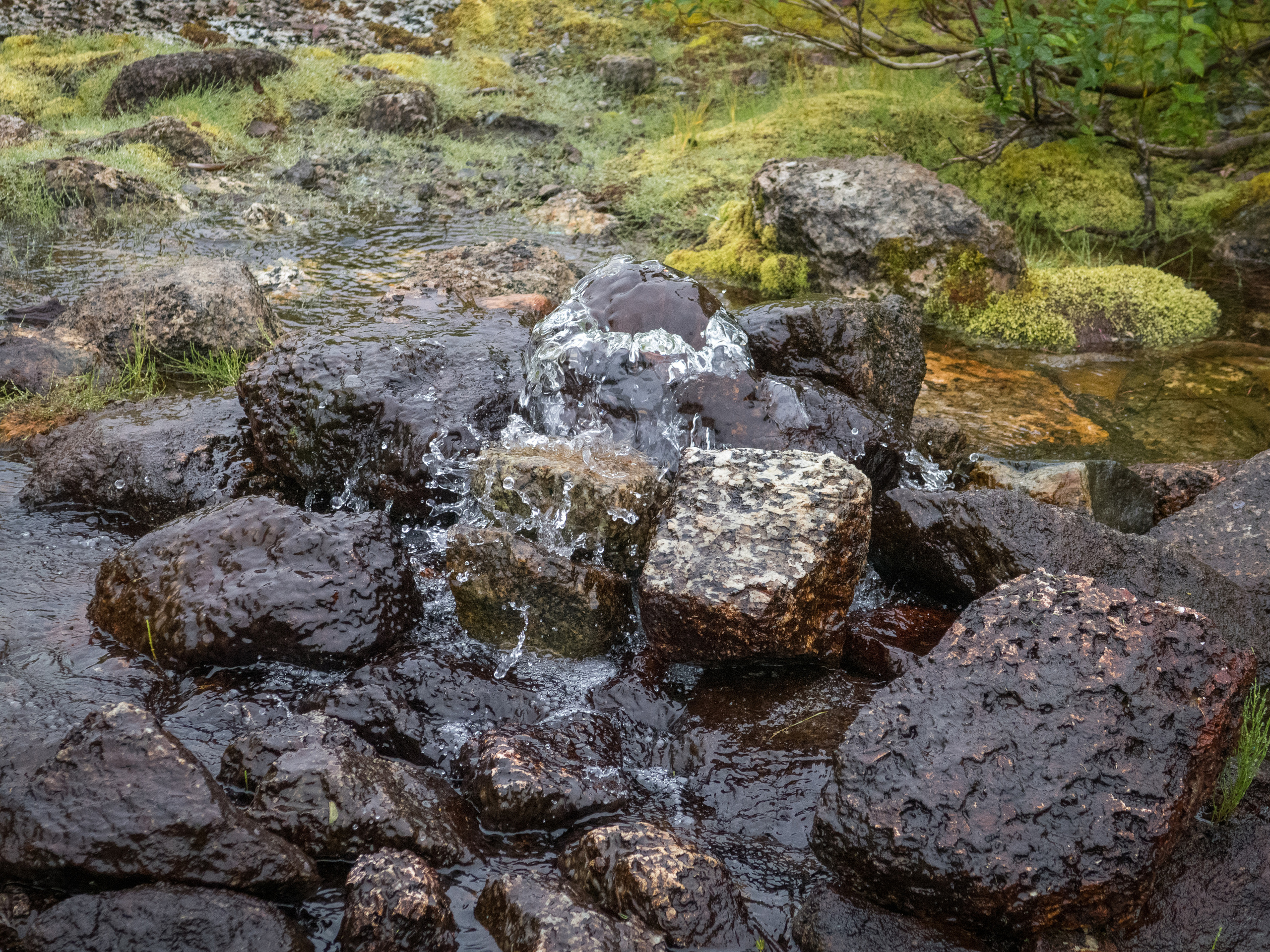 Кольский. Фото из походов и путешествий клуба скандинавской ходьбы Пойдем Ходить