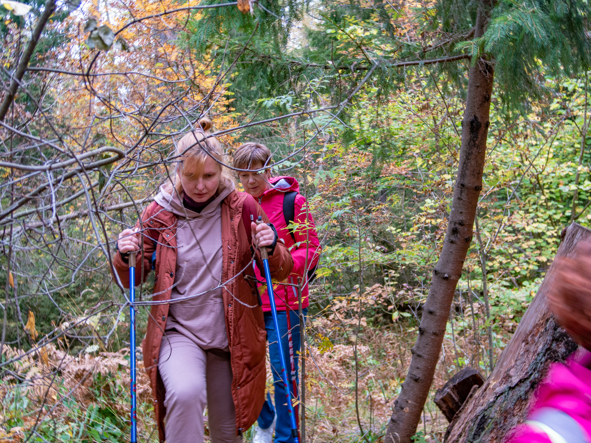 Линдуловская Роща. Фото из походов и путешествий клуба скандинавской ходьбы Пойдем Ходить