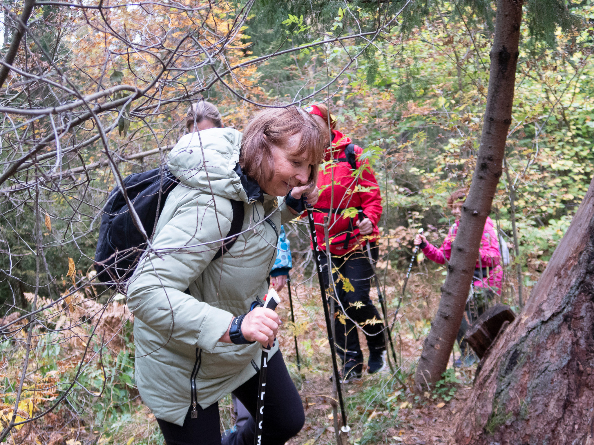 Линдуловская Роща. Фото из походов и путешествий клуба скандинавской ходьбы Пойдем Ходить