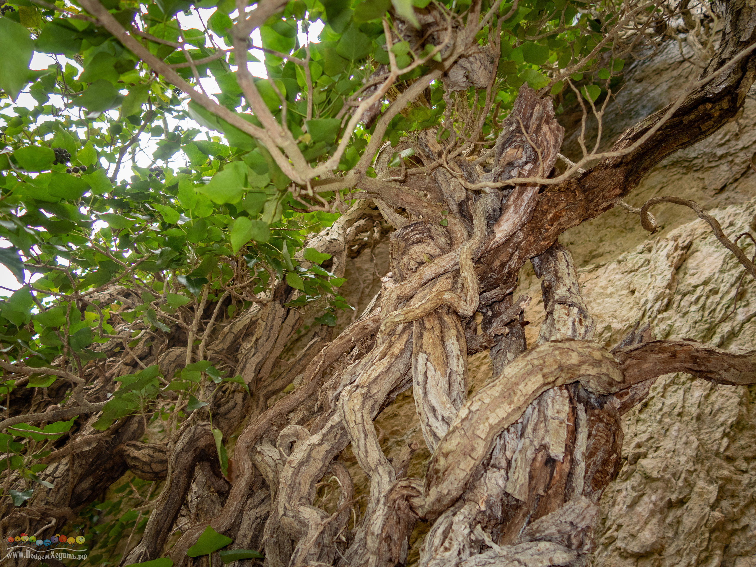 Адыгея — страна водопадов. Фото из походов и путешествий клуба скандинавской ходьбы Пойдем Ходить