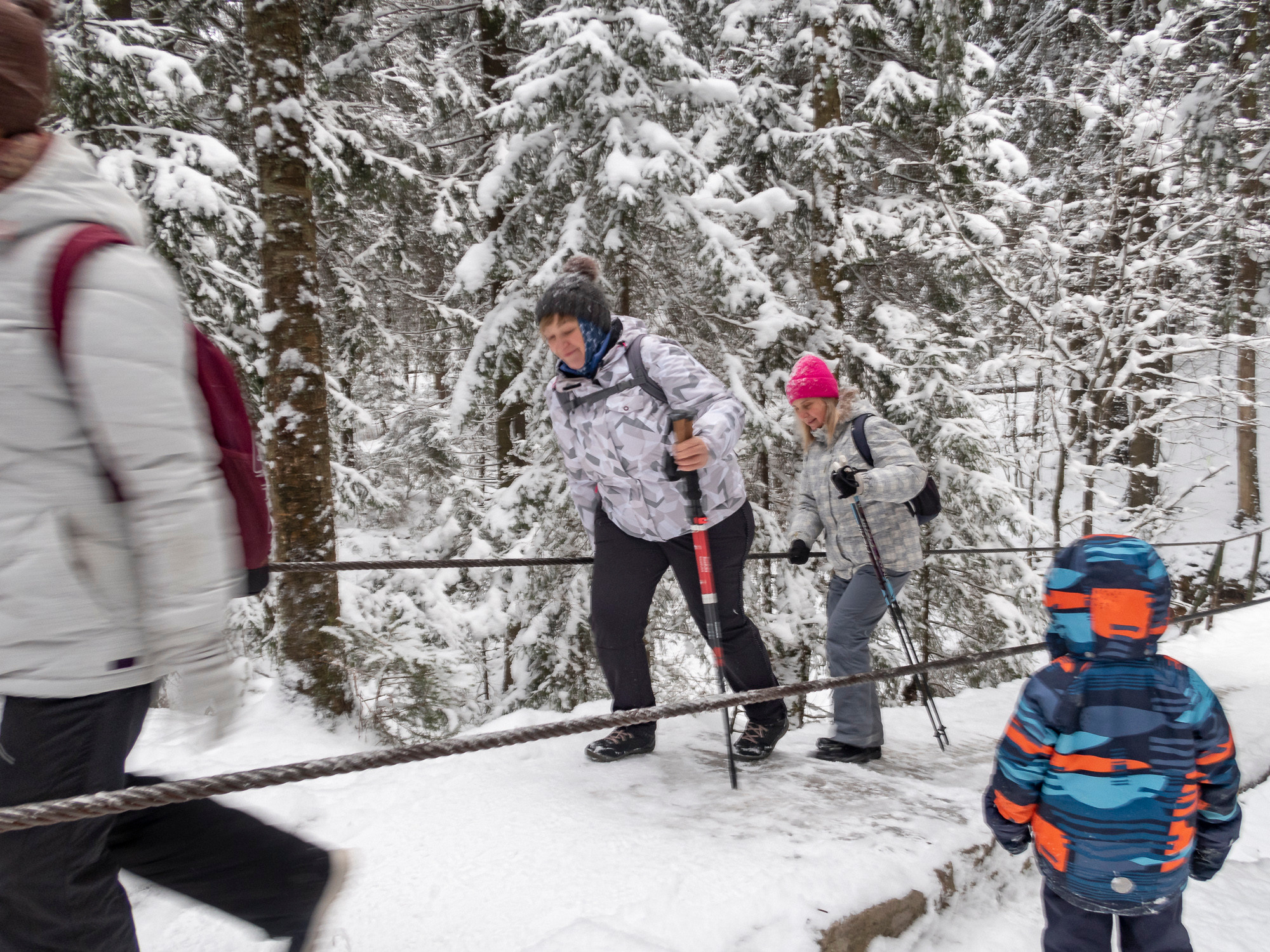 В Токсово к зубрам. Фото из походов и путешествий клуба скандинавской ходьбы Пойдем Ходить