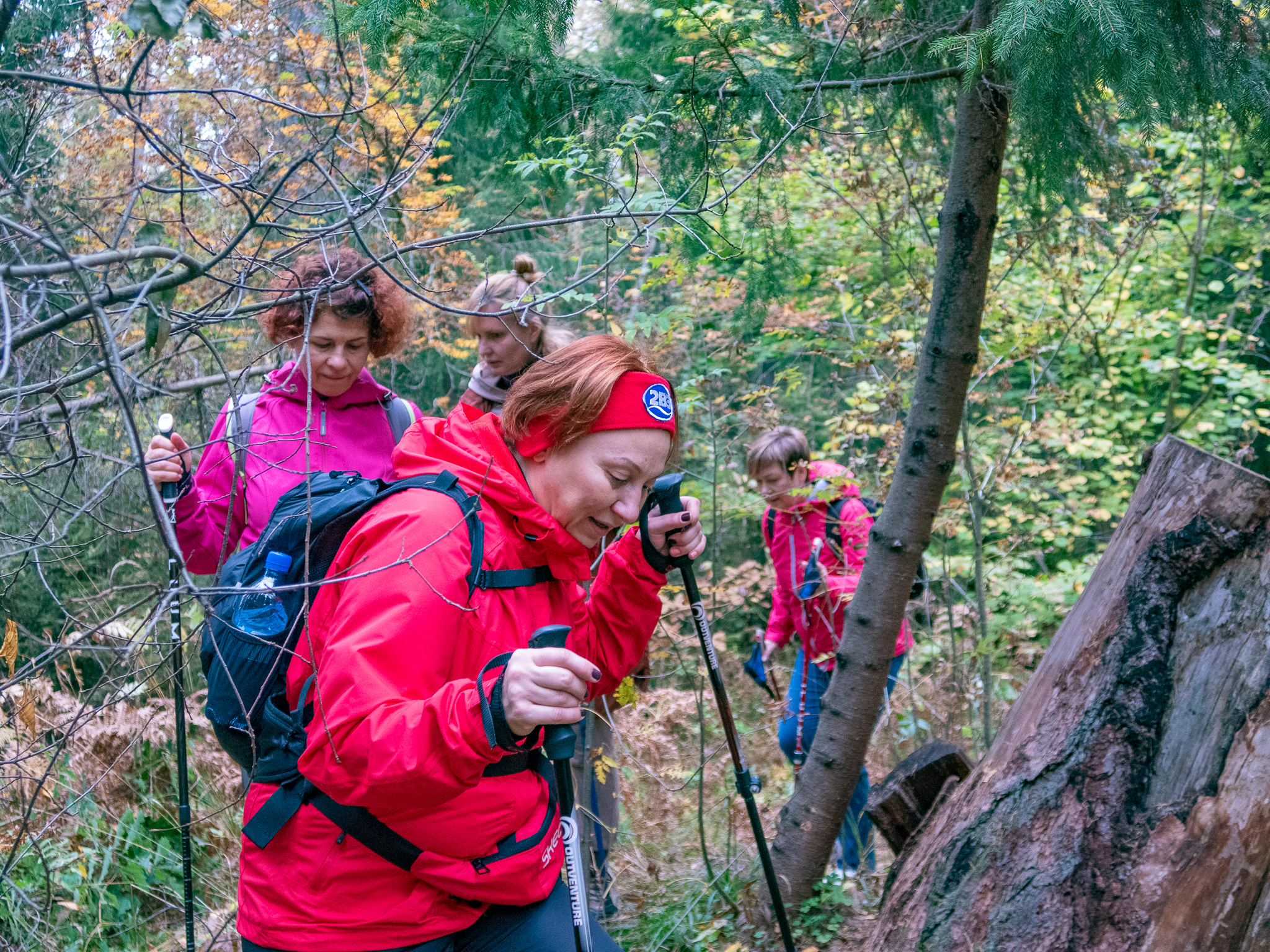Линдуловская Роща. Фото из походов и путешествий клуба скандинавской ходьбы Пойдем Ходить