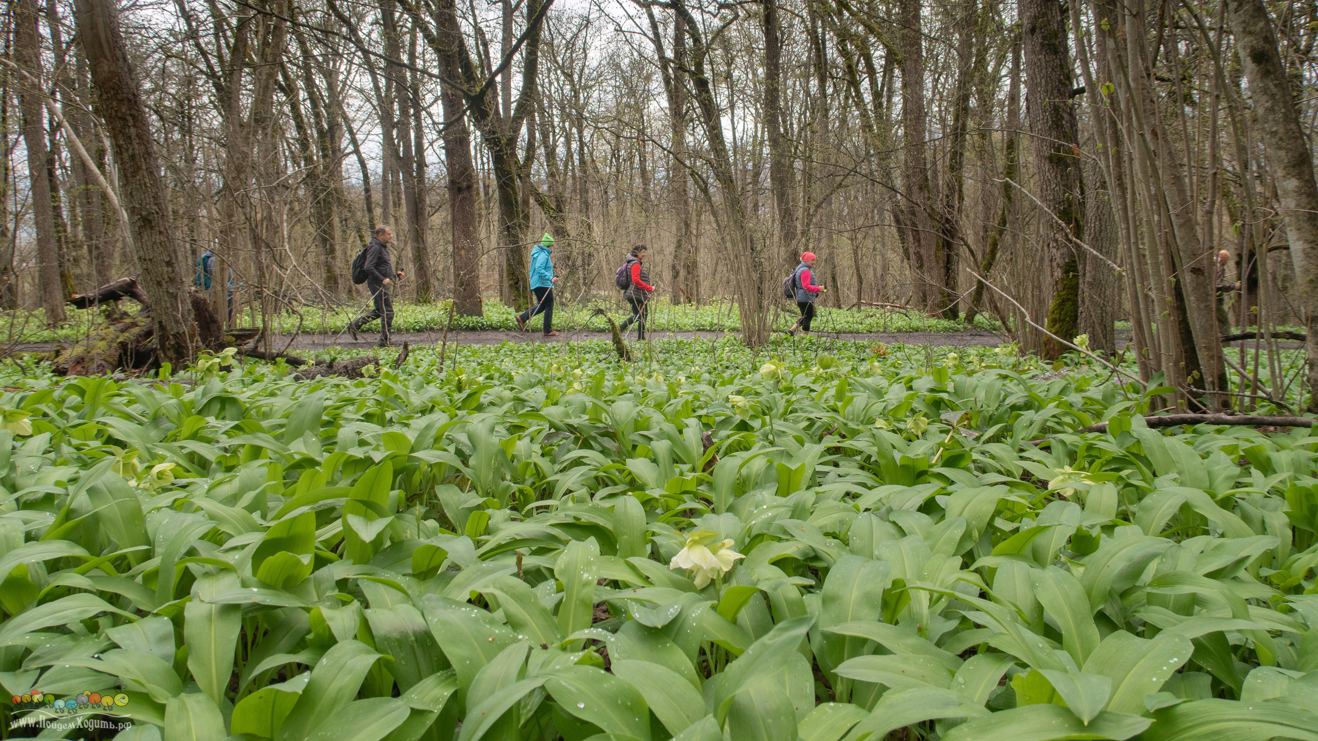 Адыгея — страна водопадов. Фото из походов и путешествий клуба скандинавской ходьбы Пойдем Ходить
