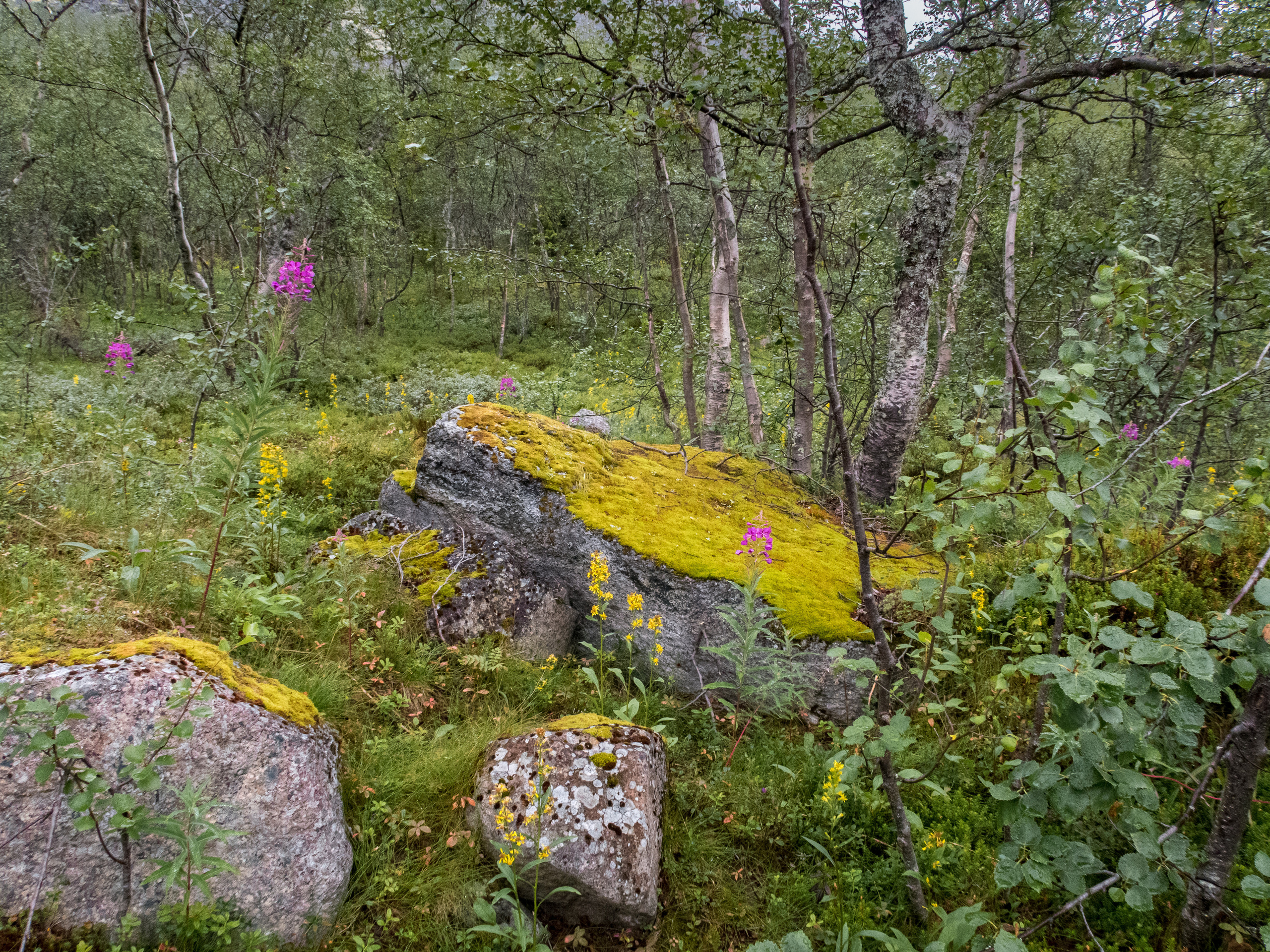 Кольский. Фото из походов и путешествий клуба скандинавской ходьбы Пойдем Ходить