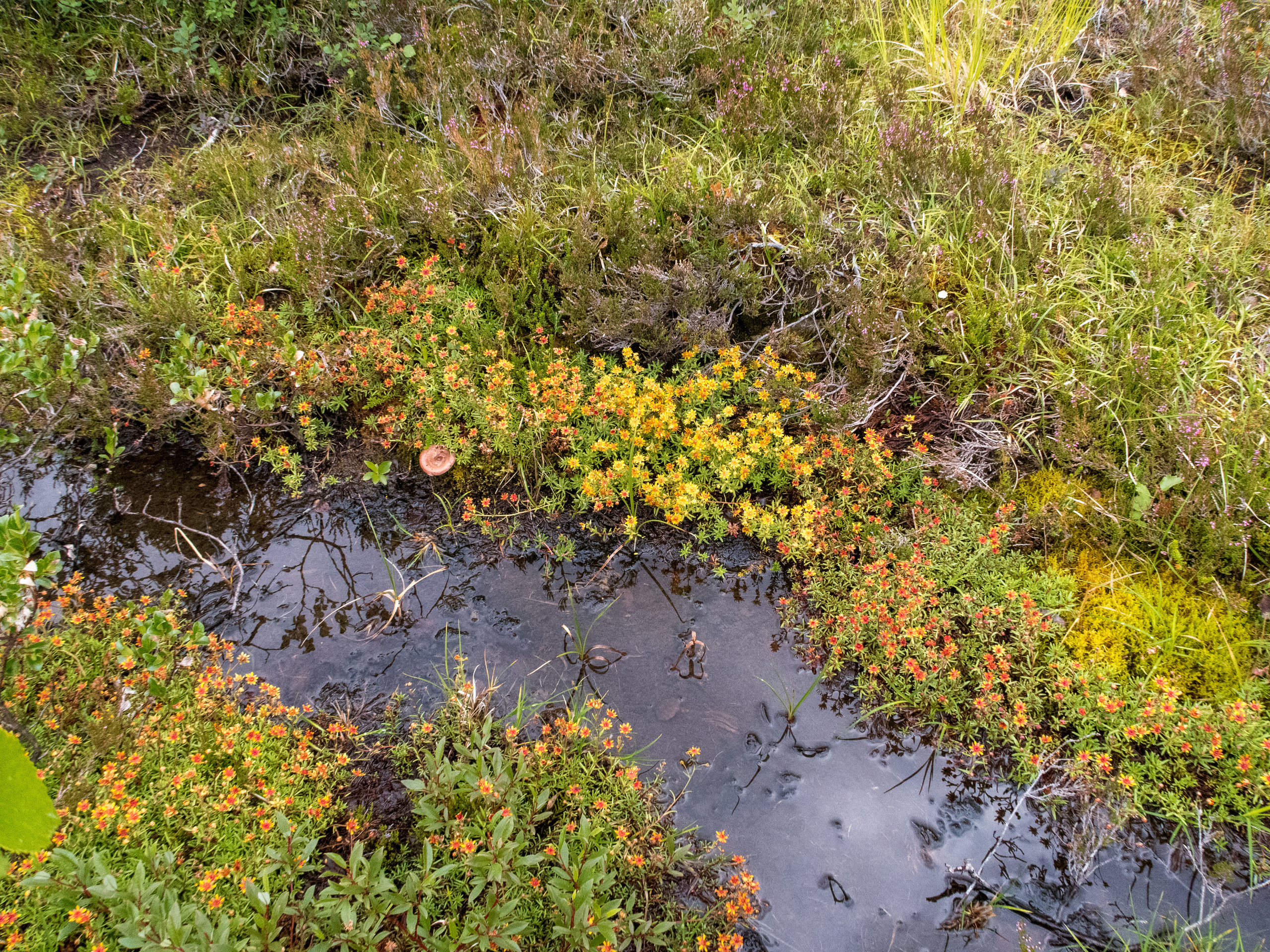 Кольский. Фото из походов и путешествий клуба скандинавской ходьбы Пойдем Ходить
