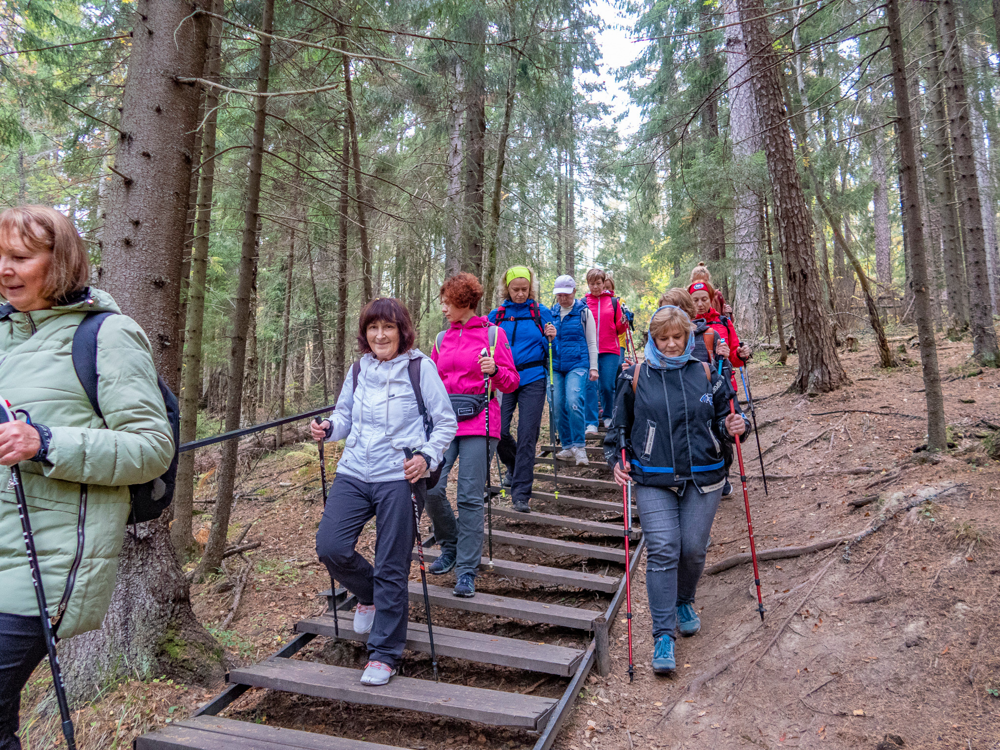 Линдуловская Роща. Фото из походов и путешествий клуба скандинавской ходьбы Пойдем Ходить
