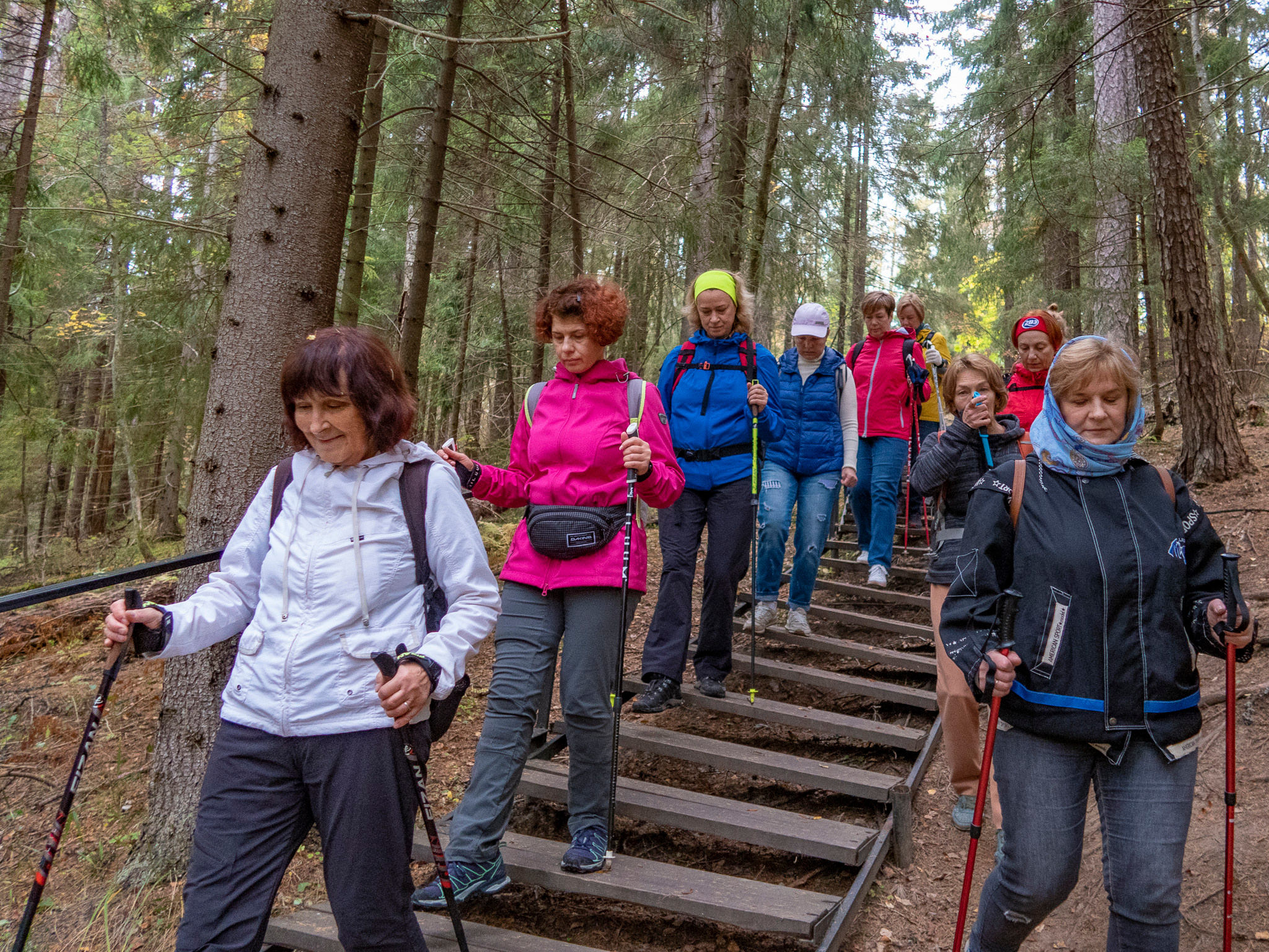 Линдуловская Роща. Фото из походов и путешествий клуба скандинавской ходьбы Пойдем Ходить