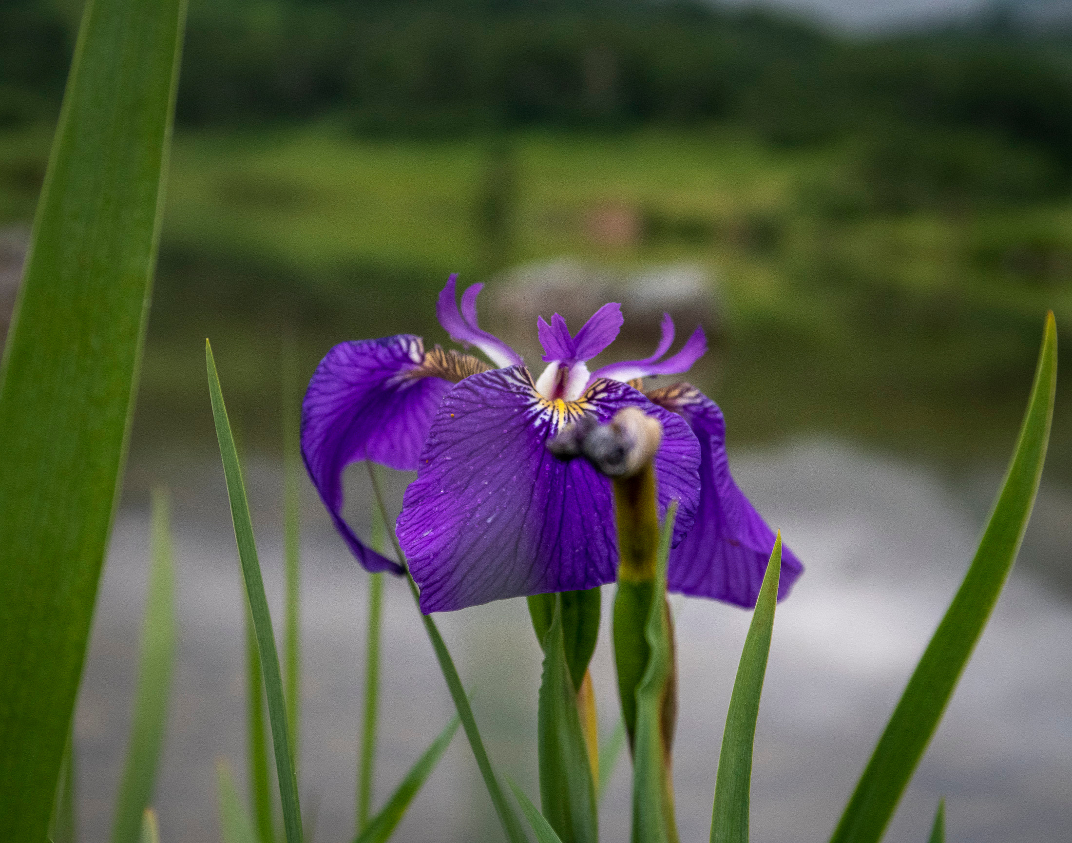 Камчатка. Фото из походов и путешествий клуба скандинавской ходьбы Пойдем Ходить
