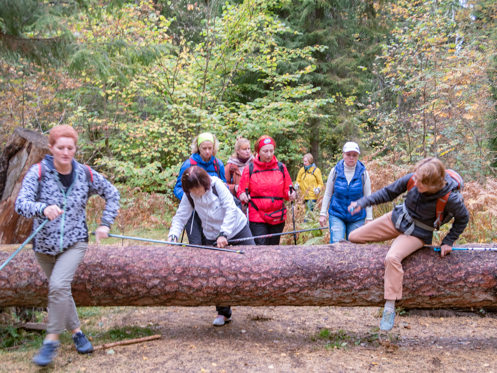 Линдуловская Роща. Фото из походов и путешествий клуба скандинавской ходьбы Пойдем Ходить