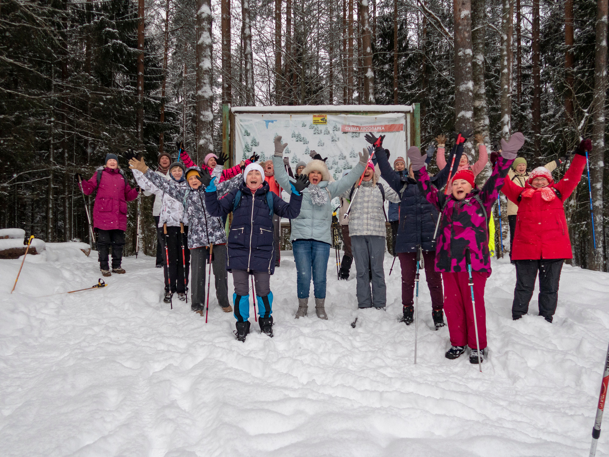 В Токсово к зубрам. Фото из походов и путешествий клуба скандинавской ходьбы Пойдем Ходить
