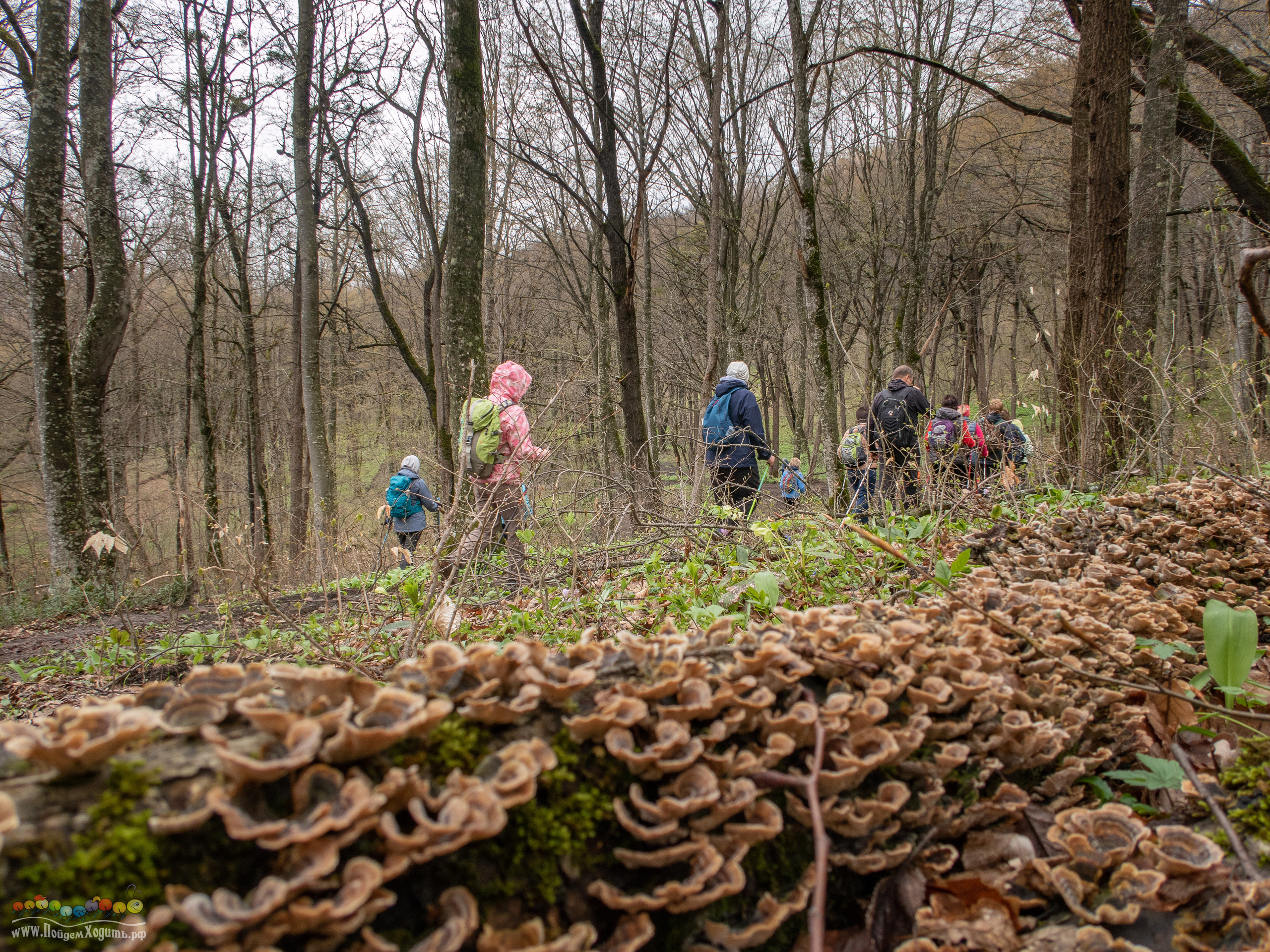 Адыгея — страна водопадов. Фото из походов и путешествий клуба скандинавской ходьбы Пойдем Ходить