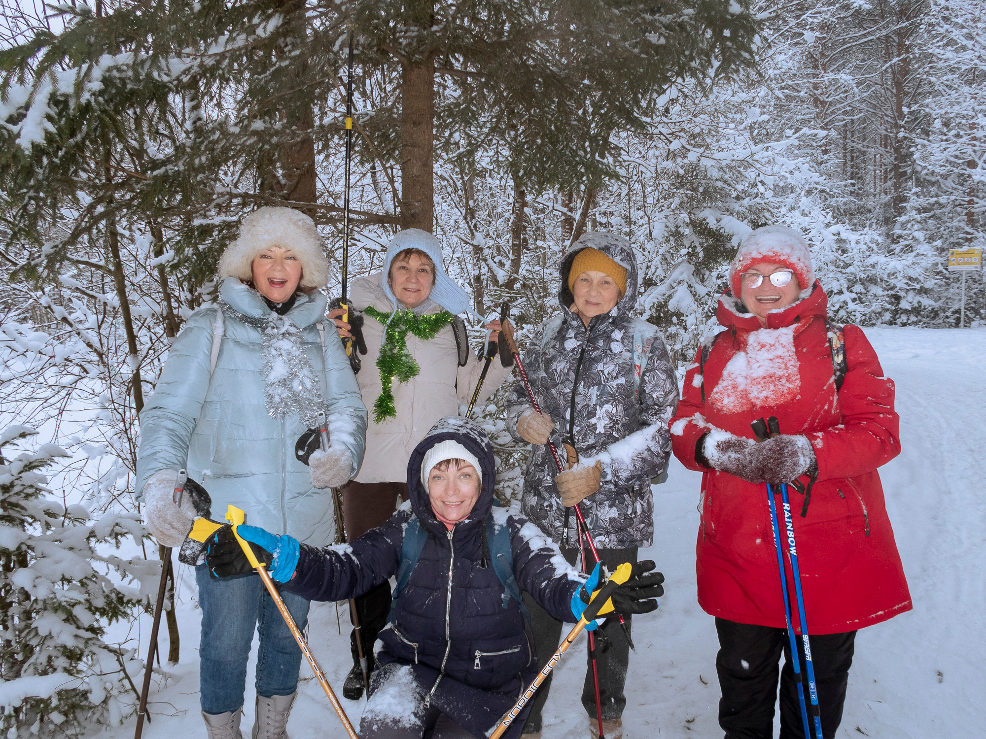 В Токсово к зубрам. Фото из походов и путешествий клуба скандинавской ходьбы Пойдем Ходить