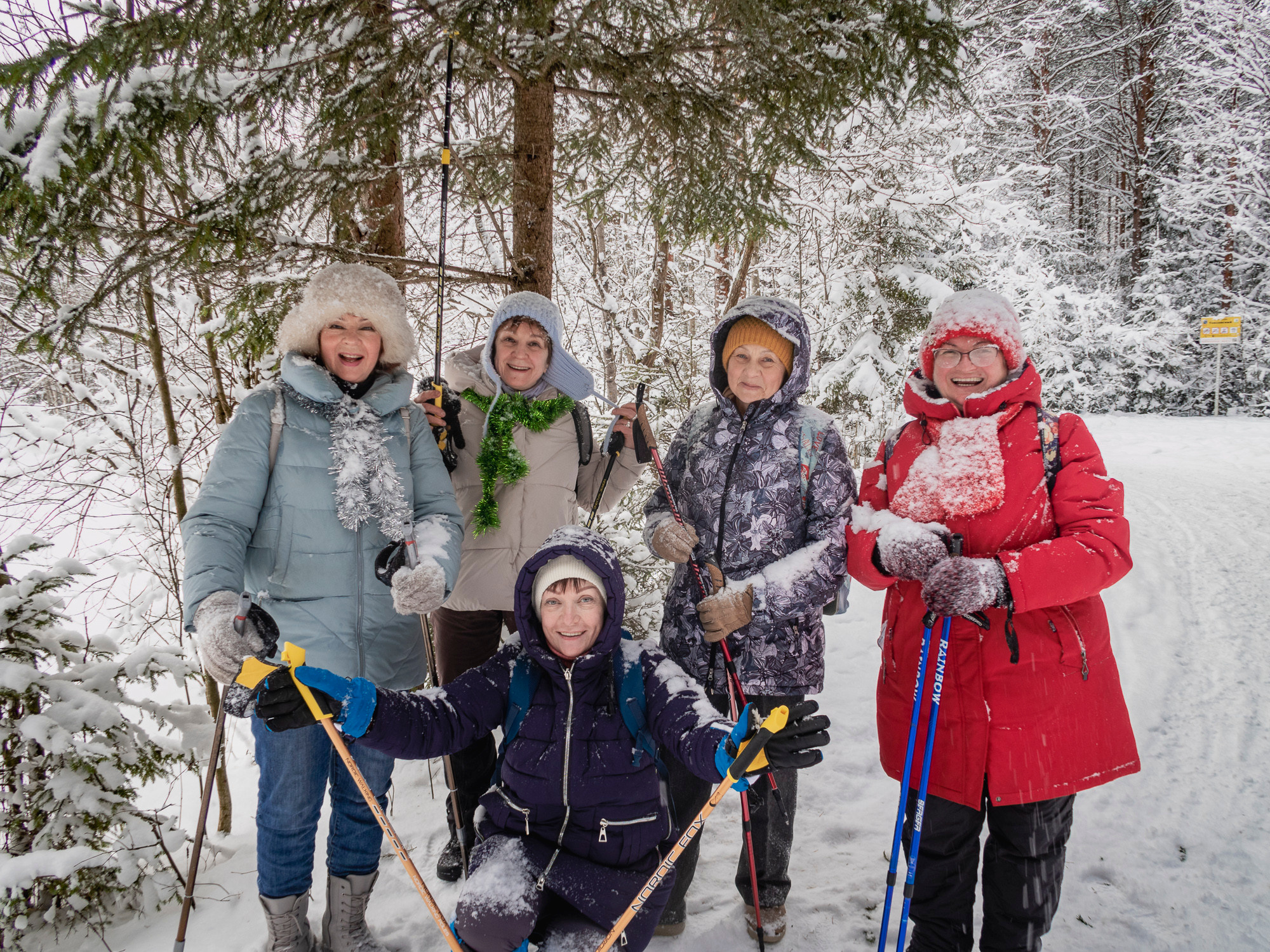 В Токсово к зубрам. Фото из походов и путешествий клуба скандинавской ходьбы Пойдем Ходить