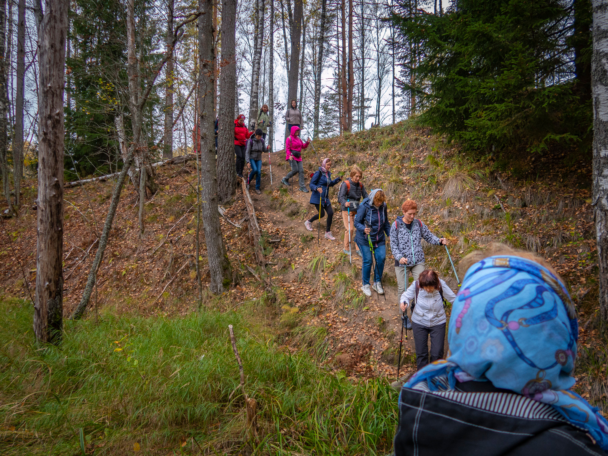 Линдуловская Роща. Фото из походов и путешествий клуба скандинавской ходьбы Пойдем Ходить