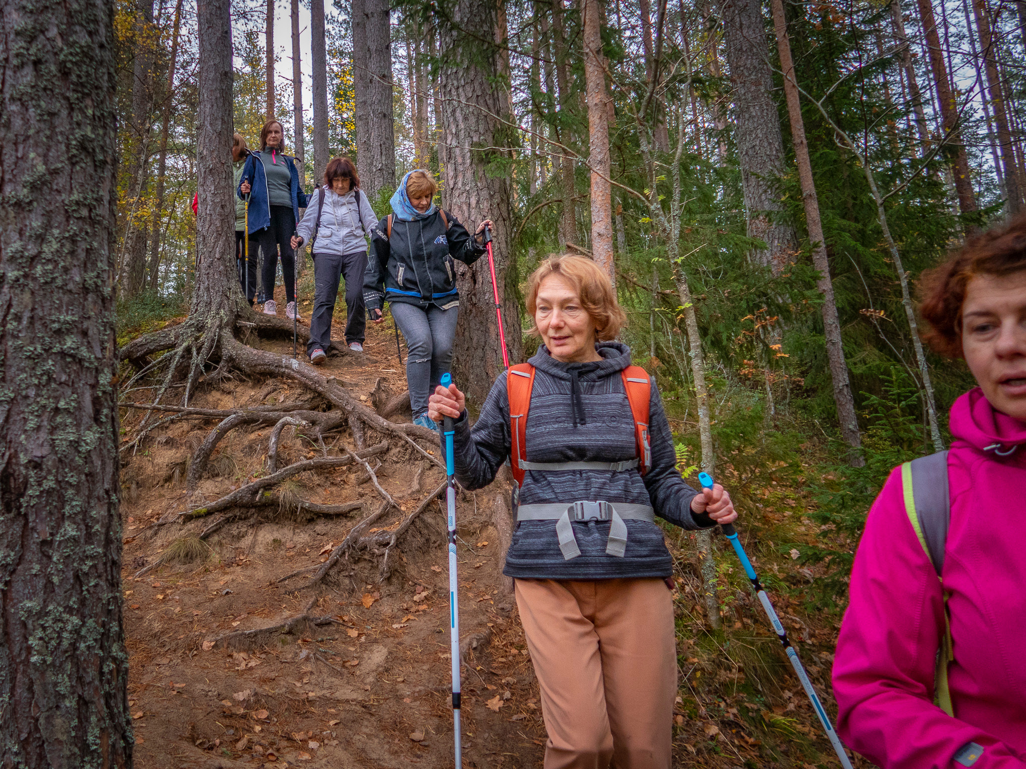 Линдуловская Роща. Фото из походов и путешествий клуба скандинавской ходьбы Пойдем Ходить