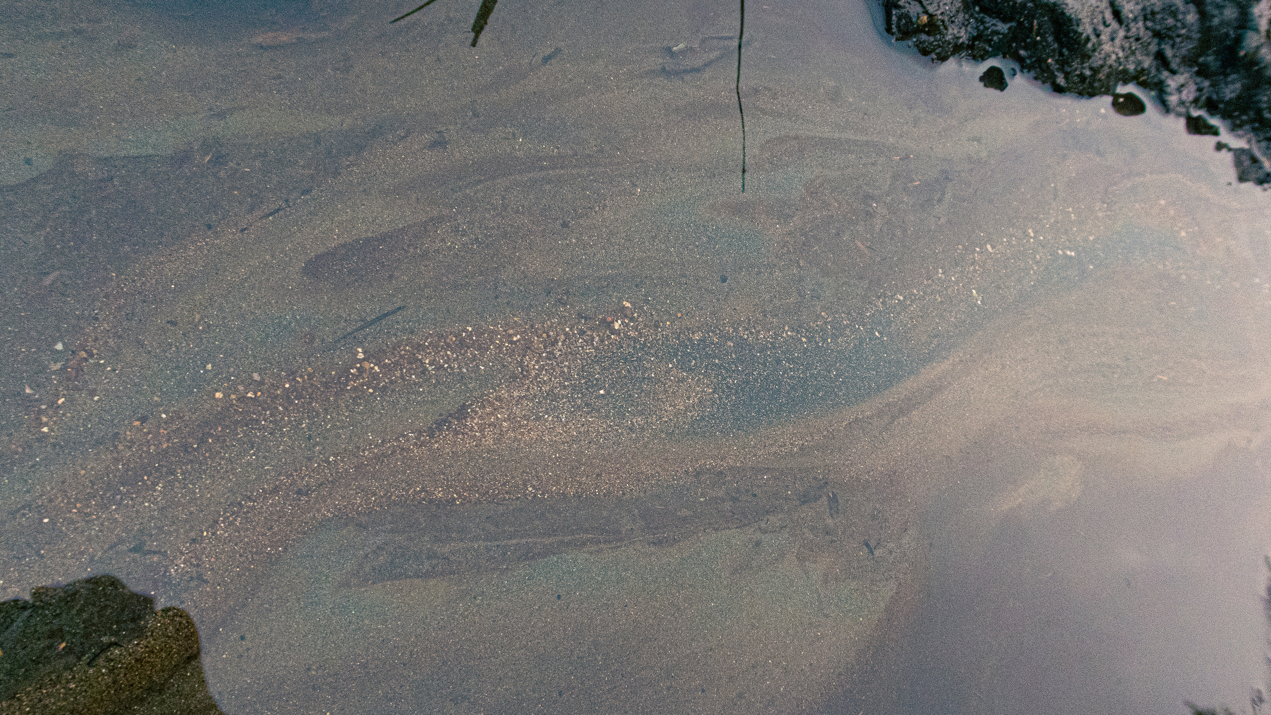 Кольский. Фото из походов и путешествий клуба скандинавской ходьбы Пойдем Ходить