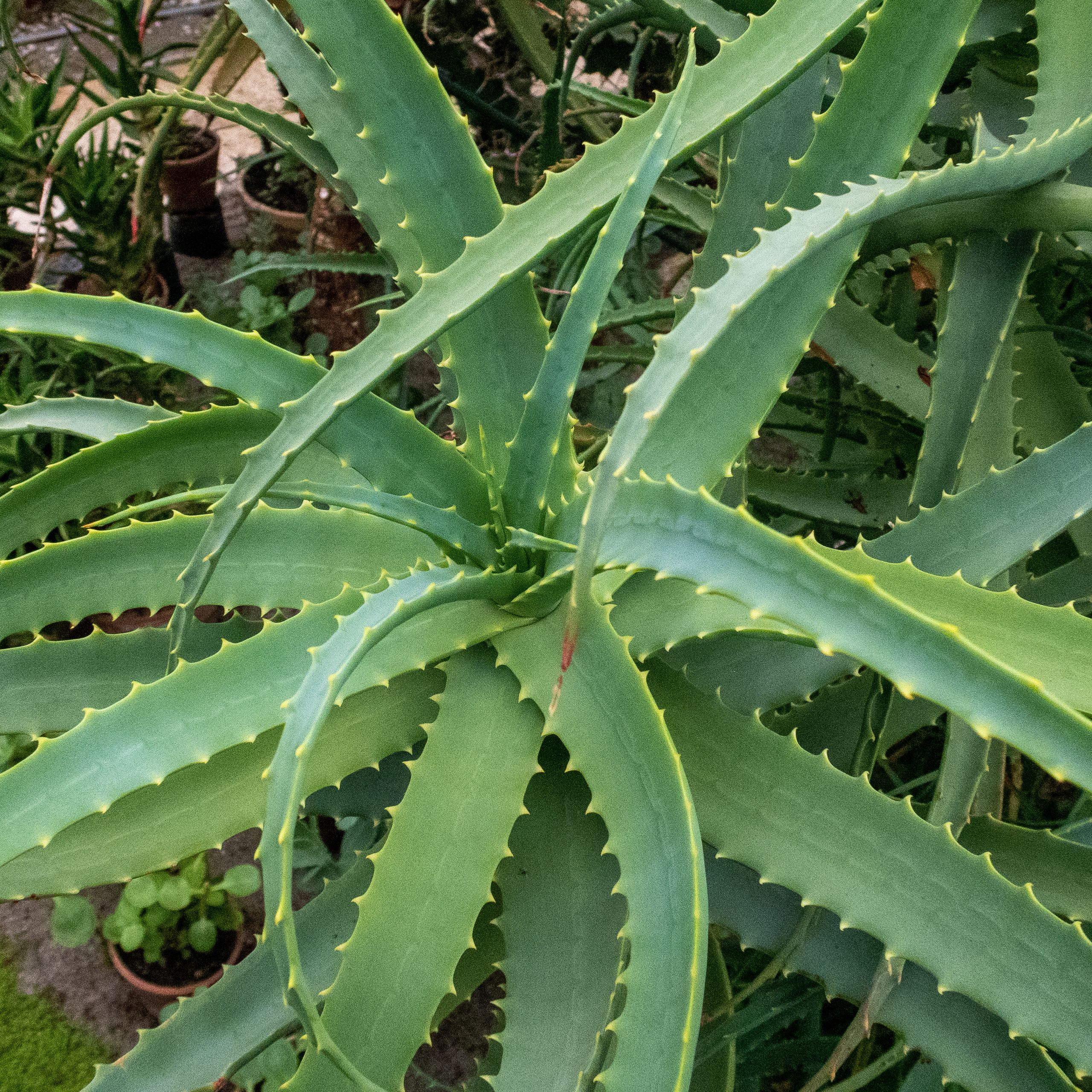 Кольский. Фото из походов и путешествий клуба скандинавской ходьбы Пойдем Ходить