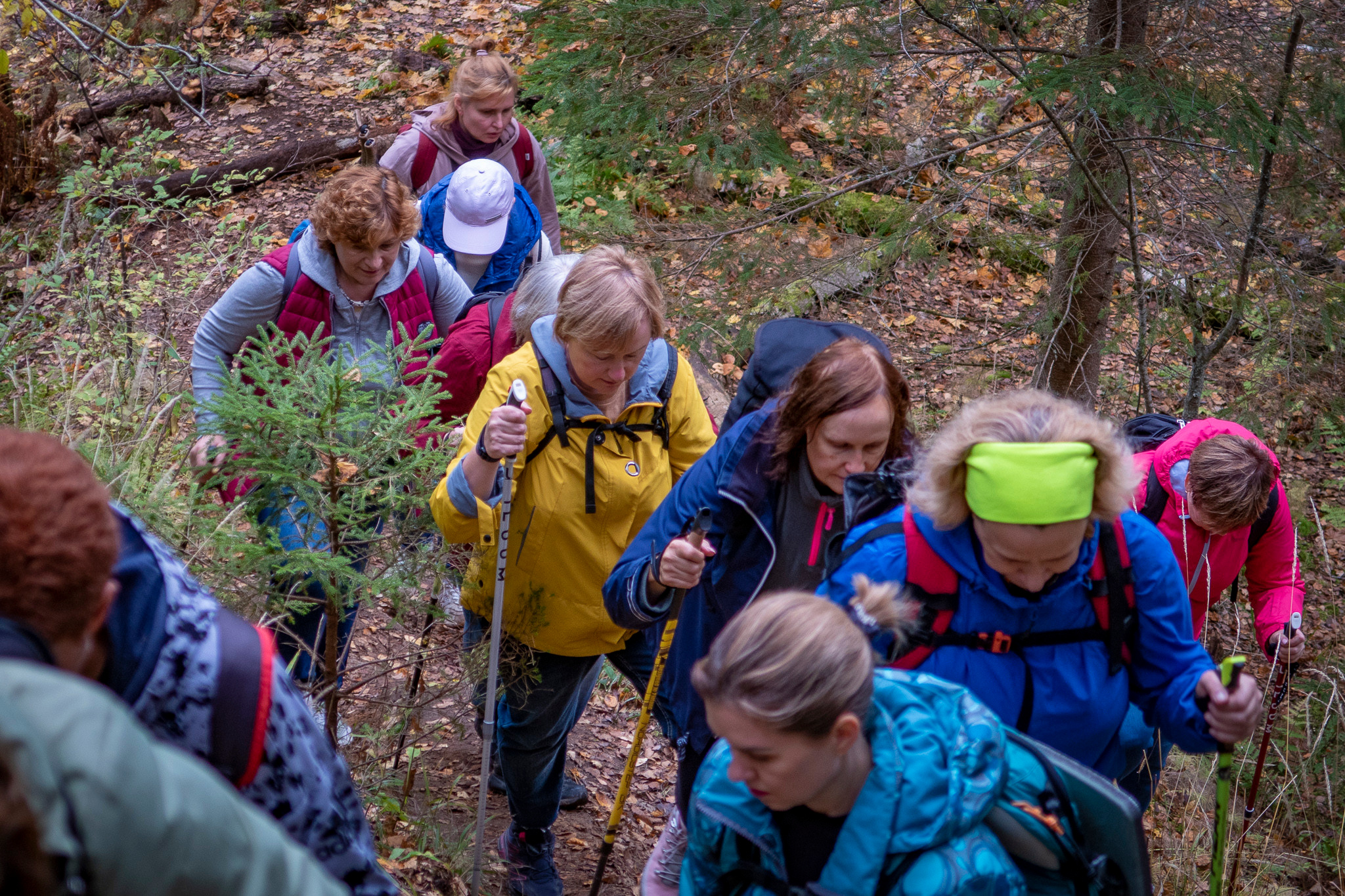 Линдуловская Роща. Фото из походов и путешествий клуба скандинавской ходьбы Пойдем Ходить