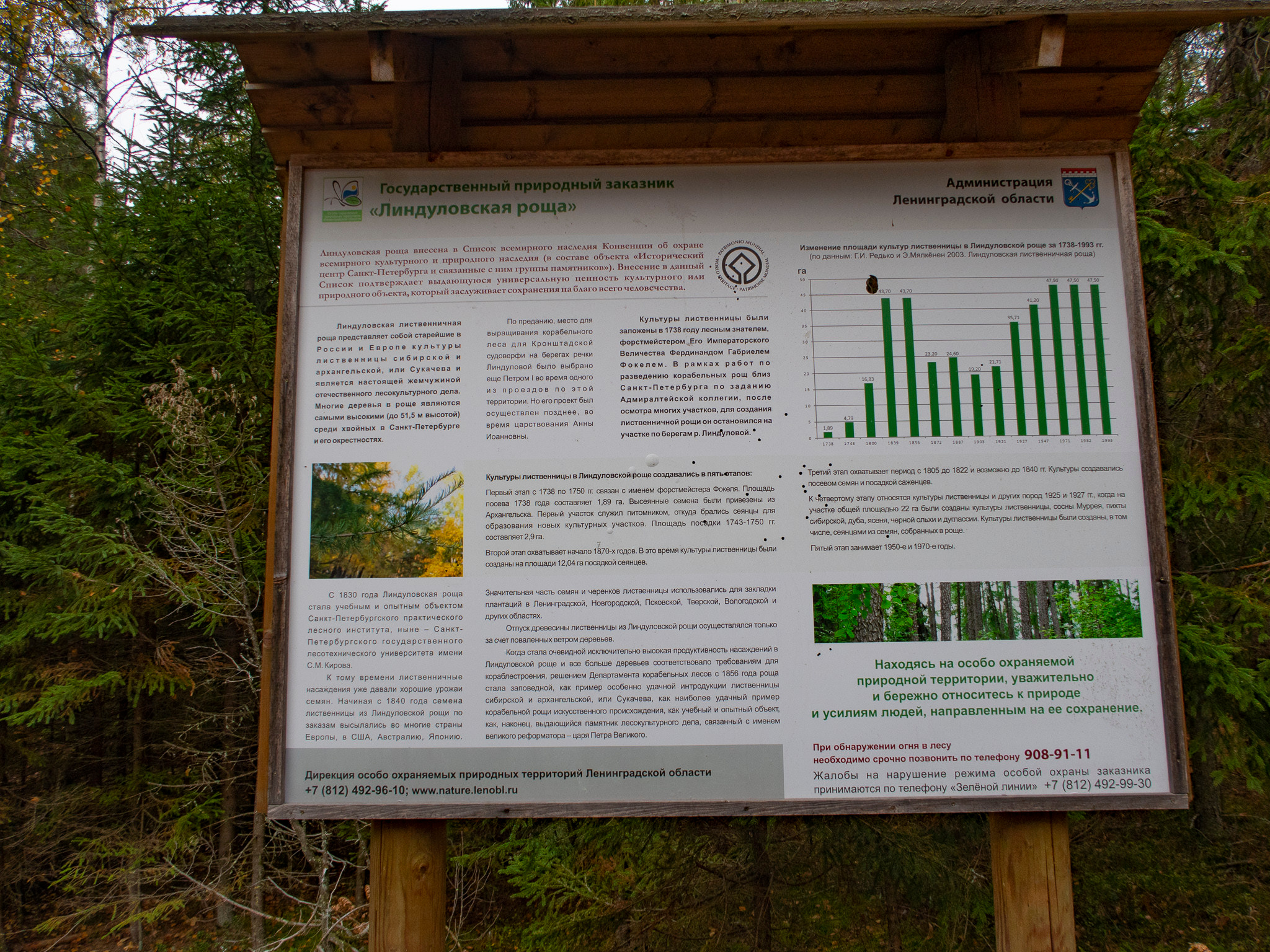 Линдуловская Роща. Фото из походов и путешествий клуба скандинавской ходьбы Пойдем Ходить