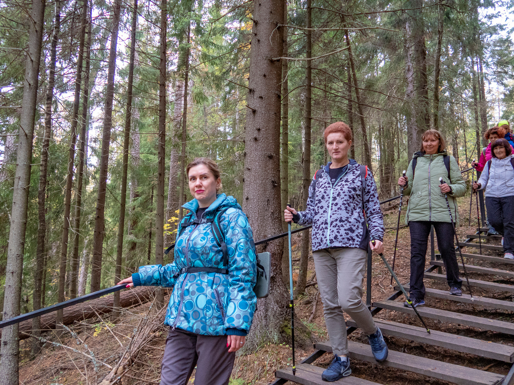 Линдуловская Роща. Фото из походов и путешествий клуба скандинавской ходьбы Пойдем Ходить