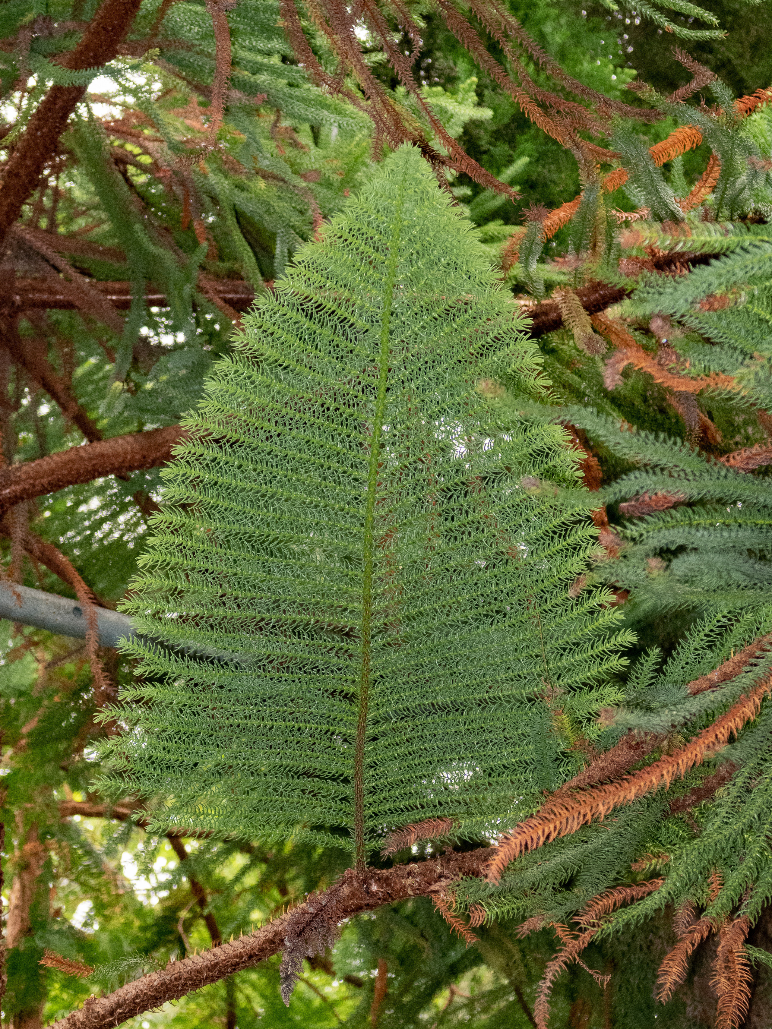 Кольский. Фото из походов и путешествий клуба скандинавской ходьбы Пойдем Ходить