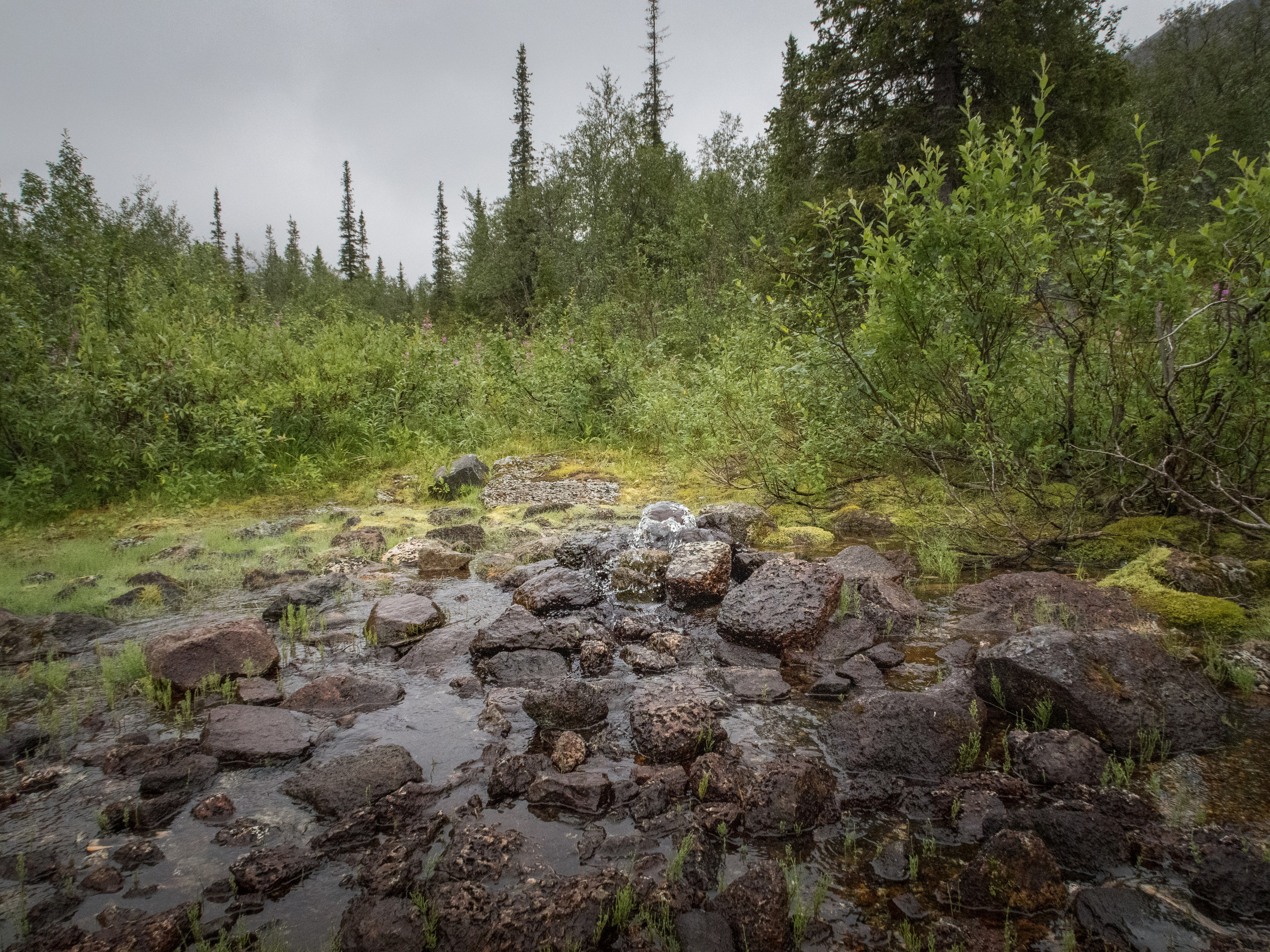 Кольский. Фото из походов и путешествий клуба скандинавской ходьбы Пойдем Ходить