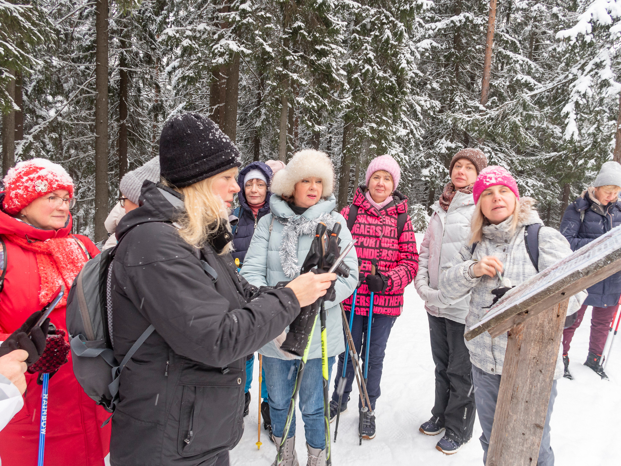 В Токсово к зубрам. Фото из походов и путешествий клуба скандинавской ходьбы Пойдем Ходить