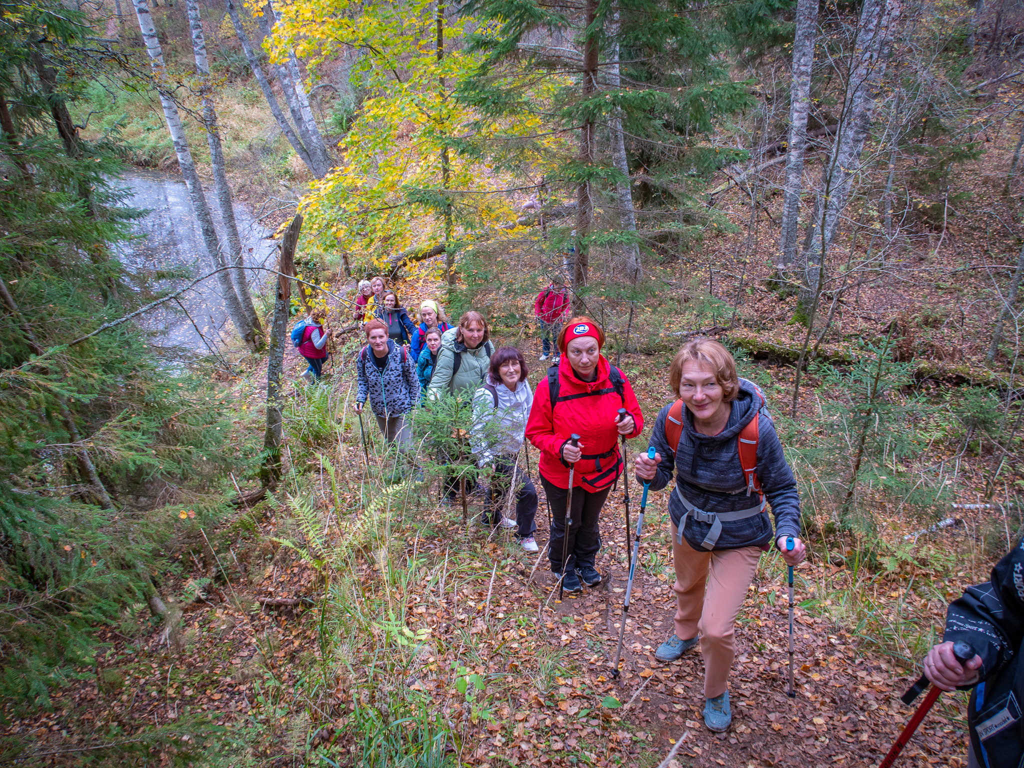 Линдуловская Роща. Фото из походов и путешествий клуба скандинавской ходьбы Пойдем Ходить